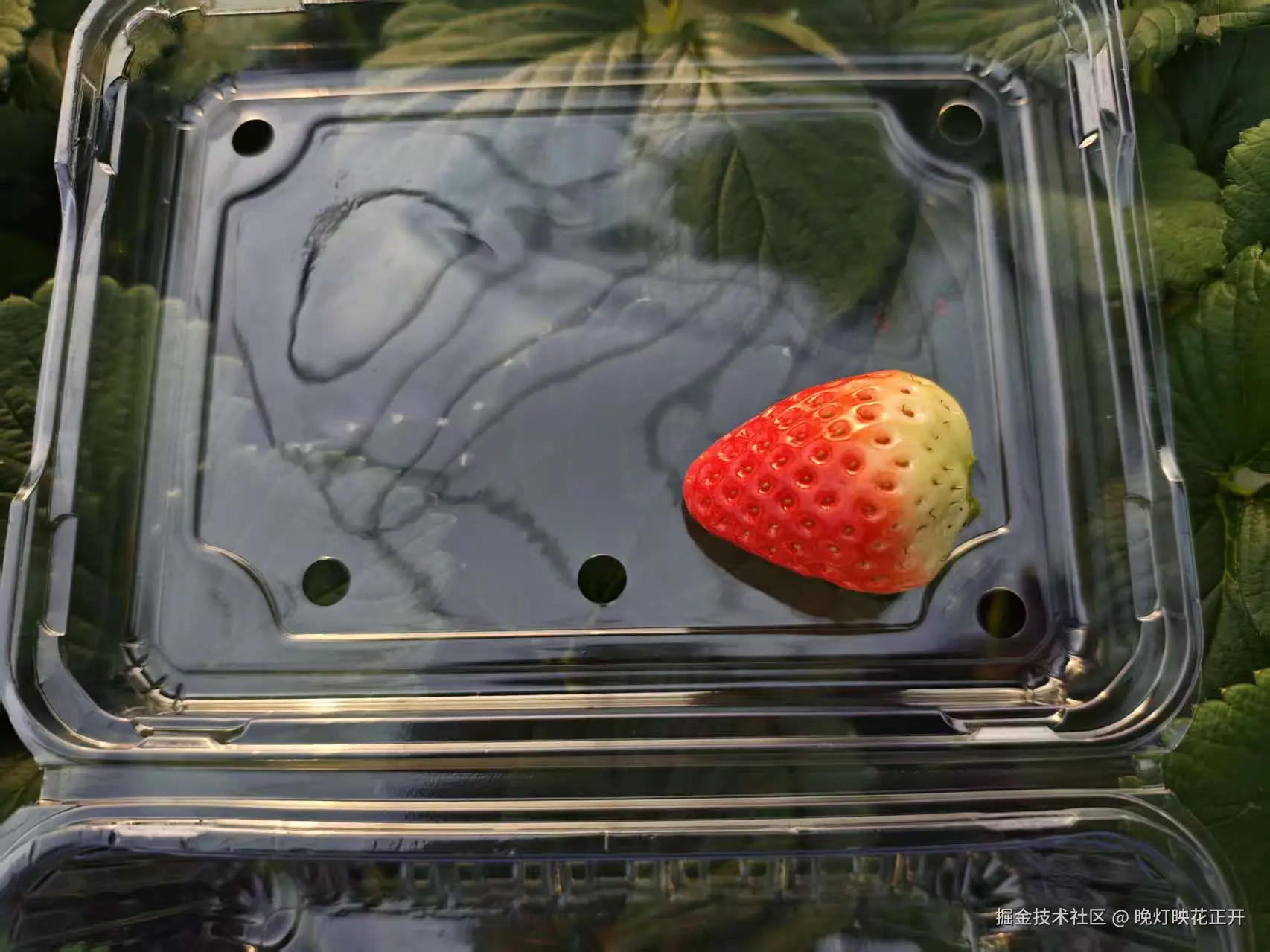 晚灯映花正开于2025-12-29 16:29发布的图片