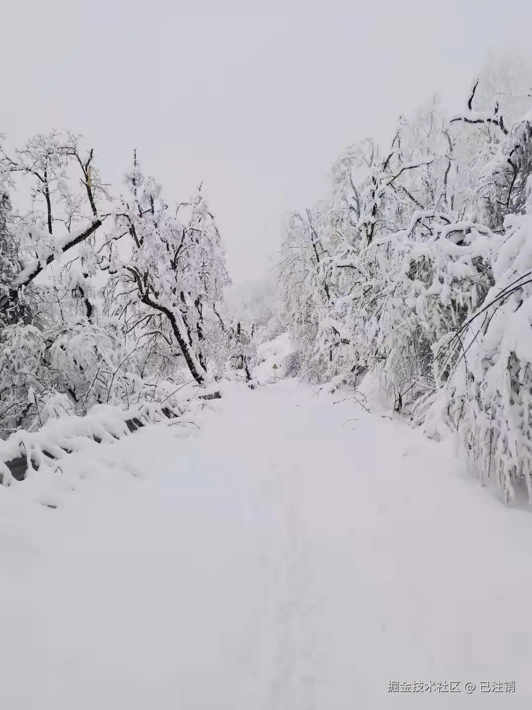 已注销于2024-10-28 16:11发布的图片