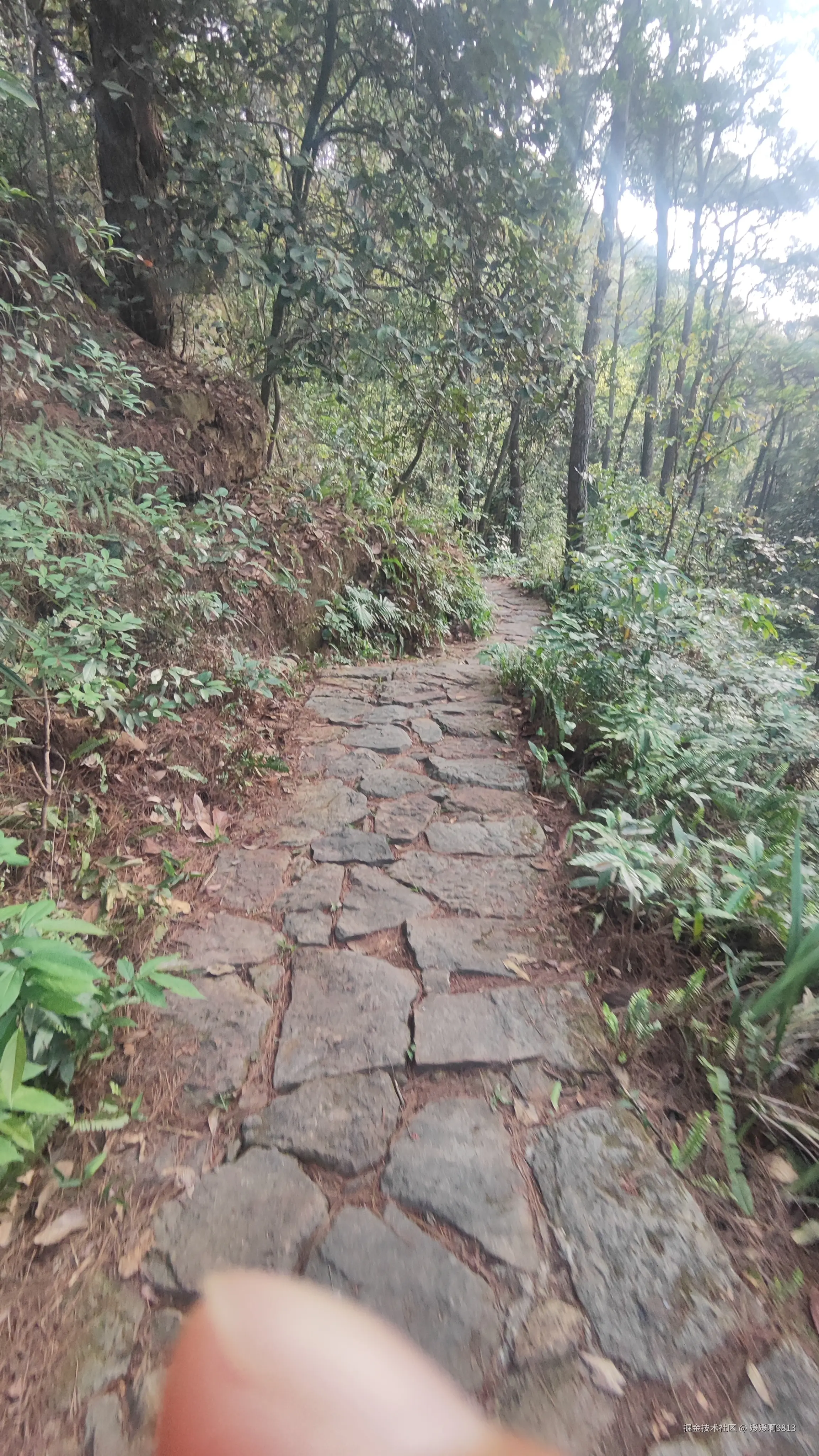 媛媛啊9813于2025-05-09 09:45发布的图片