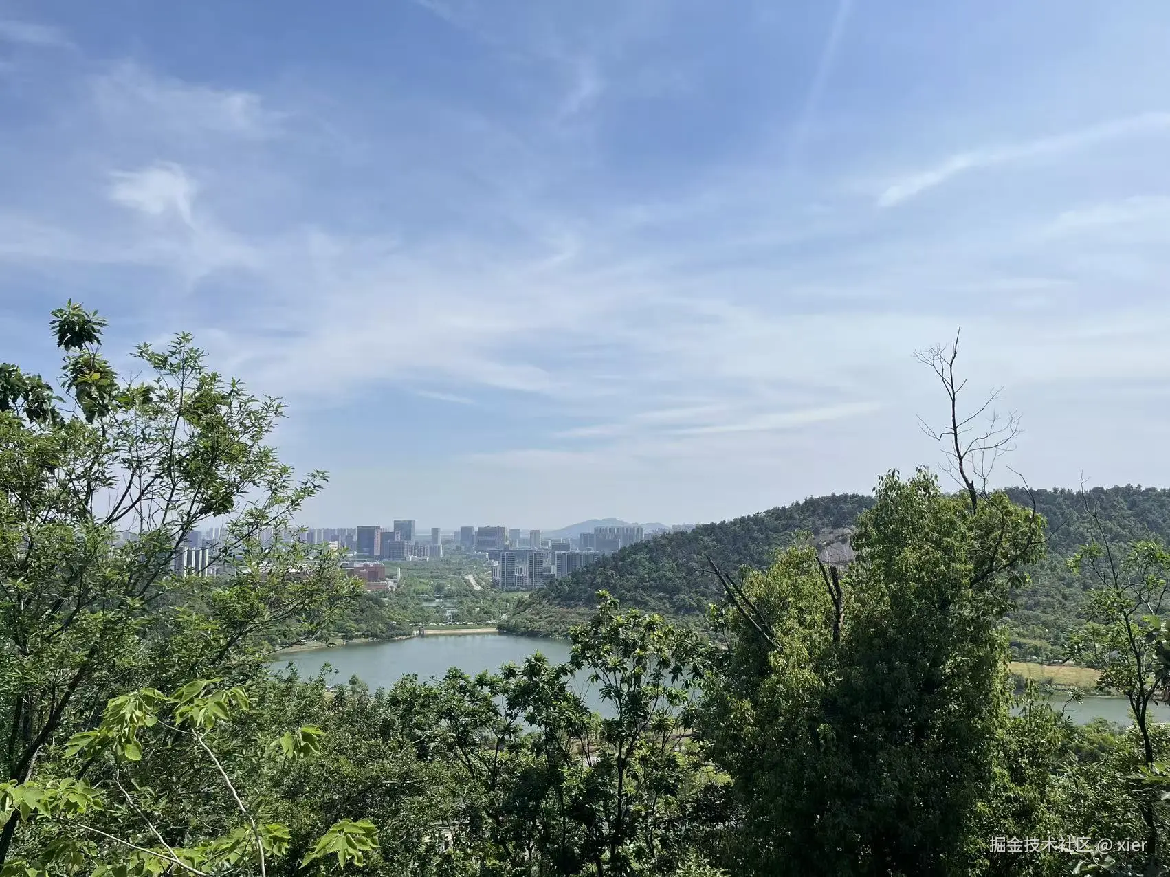 xier于2026-05-01 18:04发布的图片