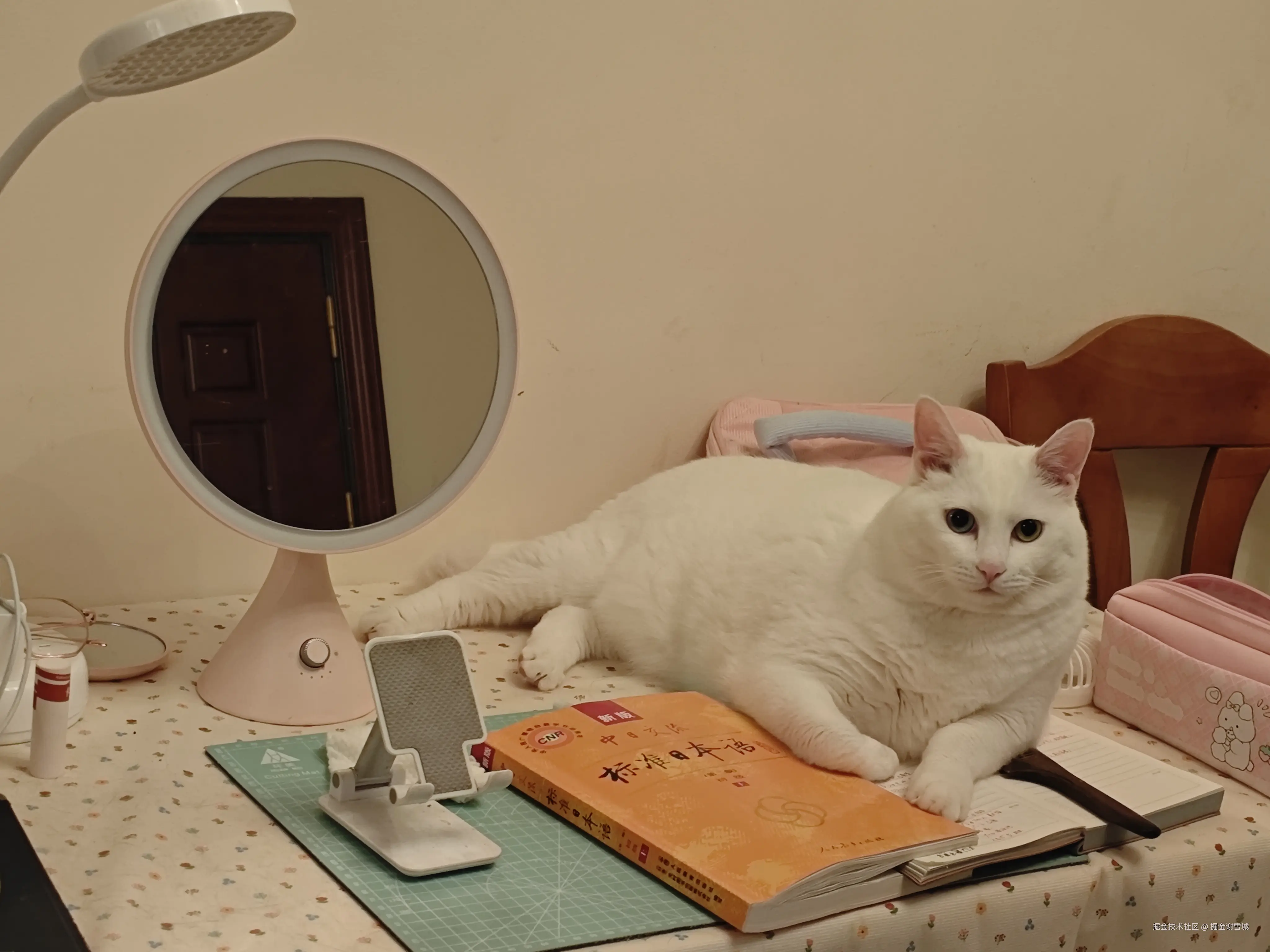 掘金谢雪城于2025-09-11 10:22发布的图片