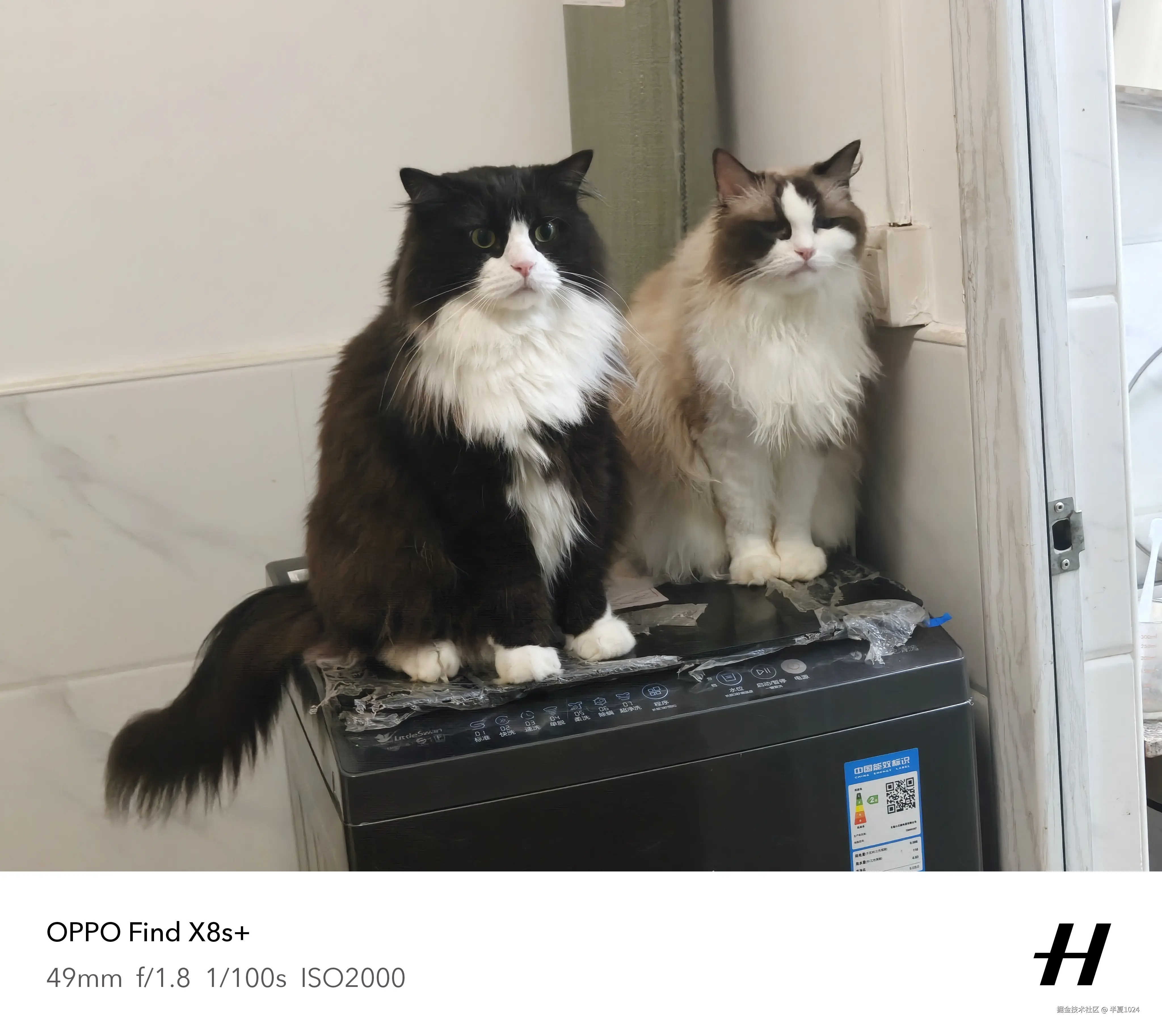 半夏1024于2025-07-02 15:38发布的图片