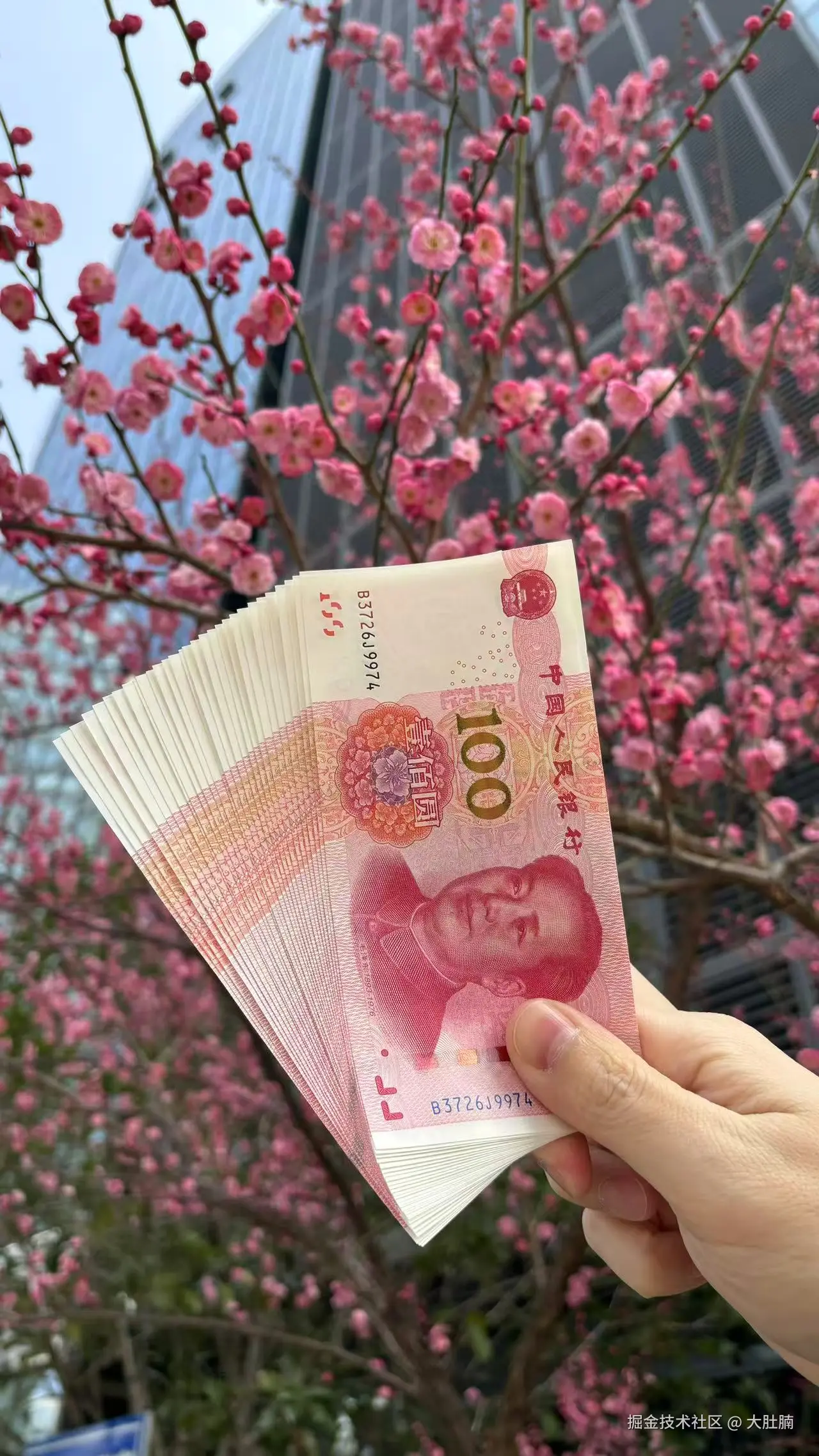 大肚腩于2026-02-11 11:27发布的图片