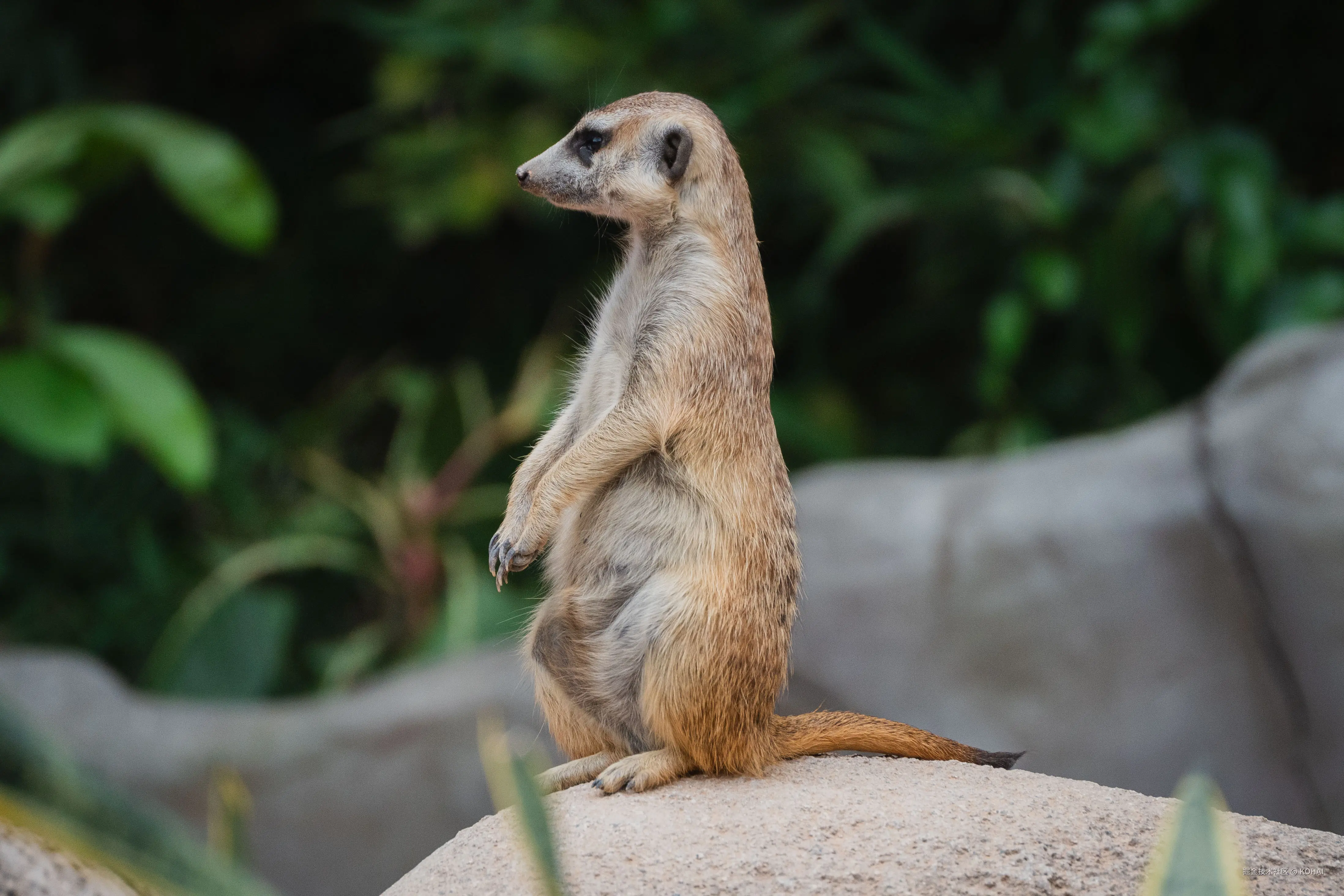 KOHAI于2024-11-04 23:36发布的图片