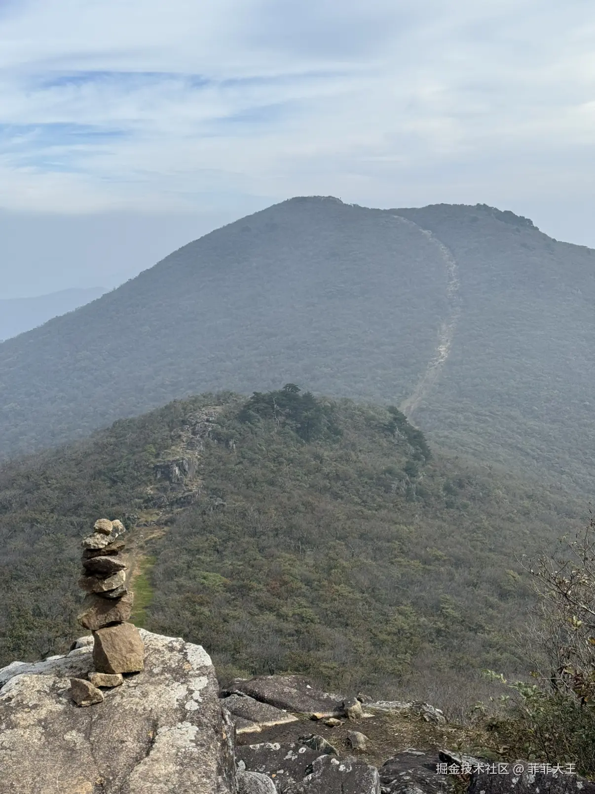 菲菲大王于2025-11-03 11:04发布的图片