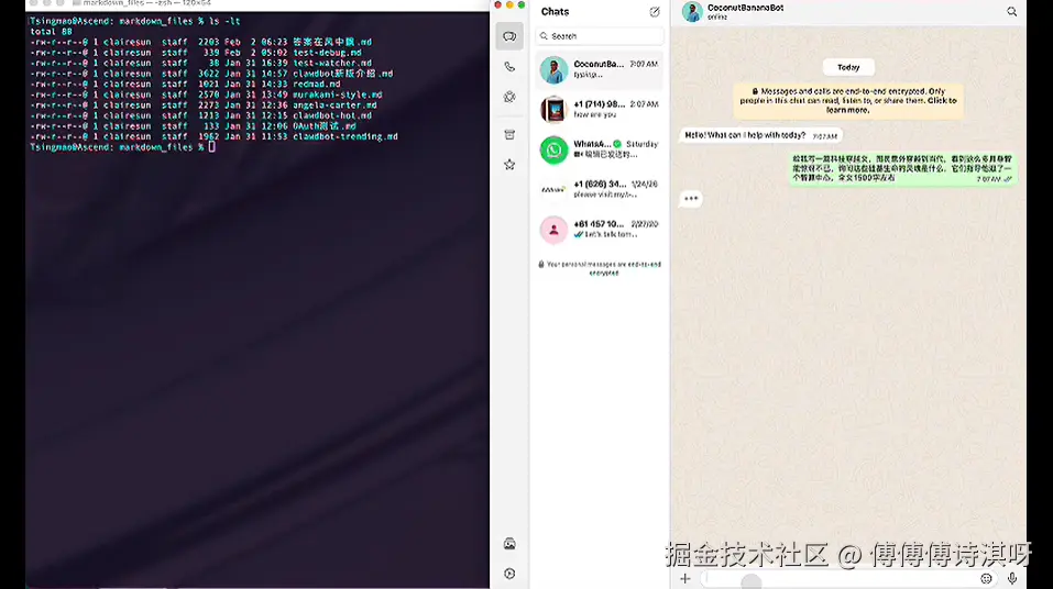 傅傅傅诗淇呀于2026-02-04 15:06发布的图片