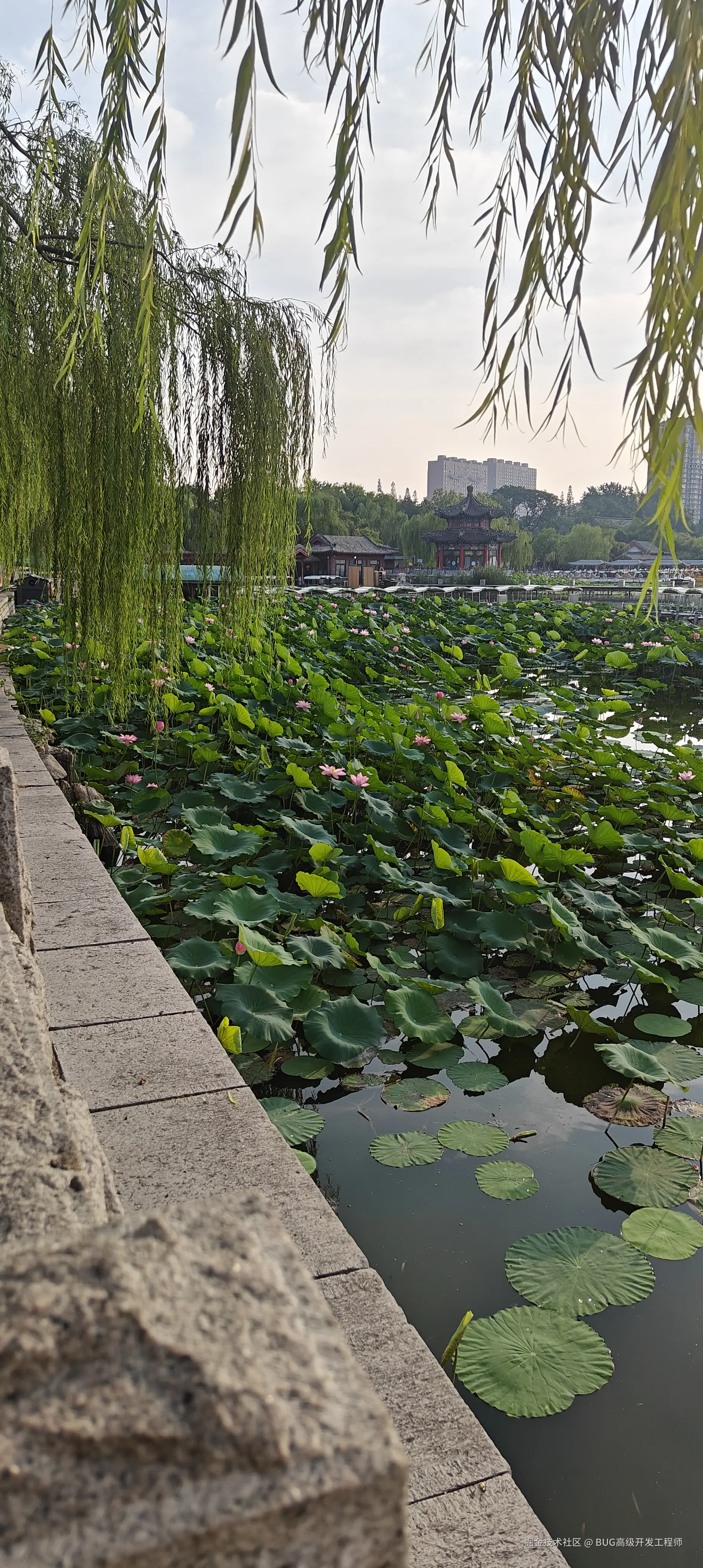 BUG高级开发工程师于2025-07-21 10:17发布的图片