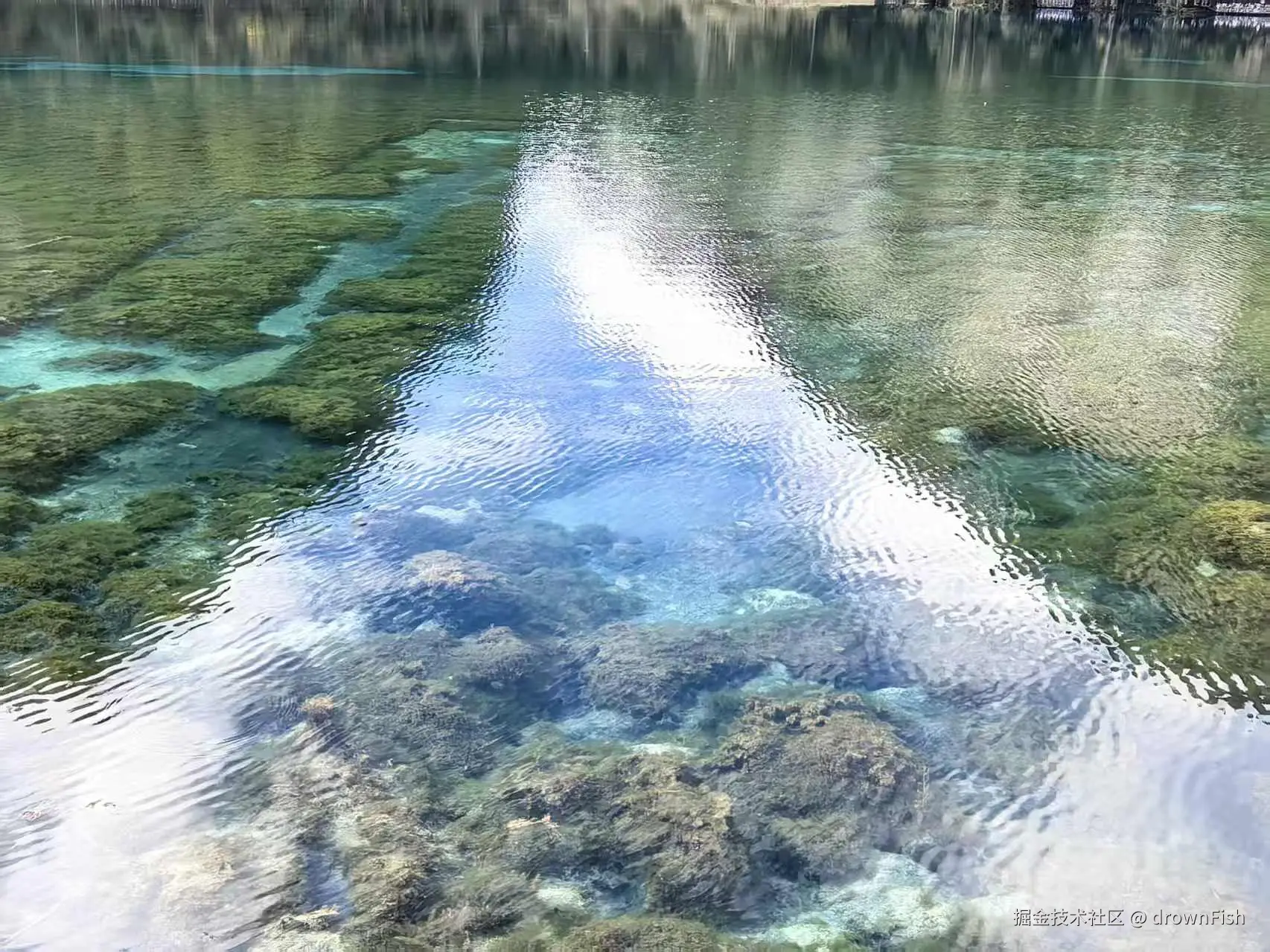 drownFish于2025-10-09 09:42发布的图片