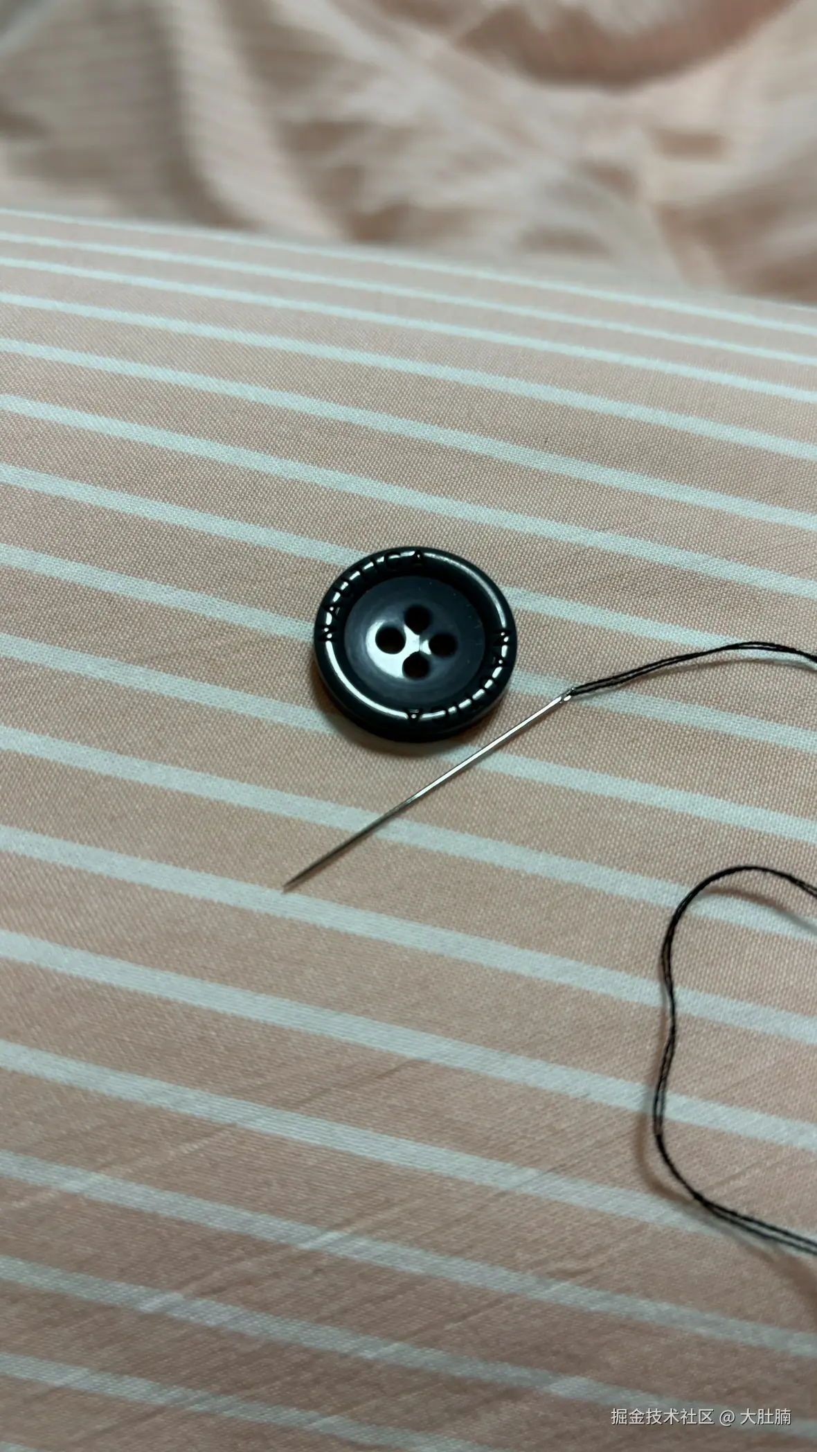 大肚腩于2025-11-25 09:21发布的图片