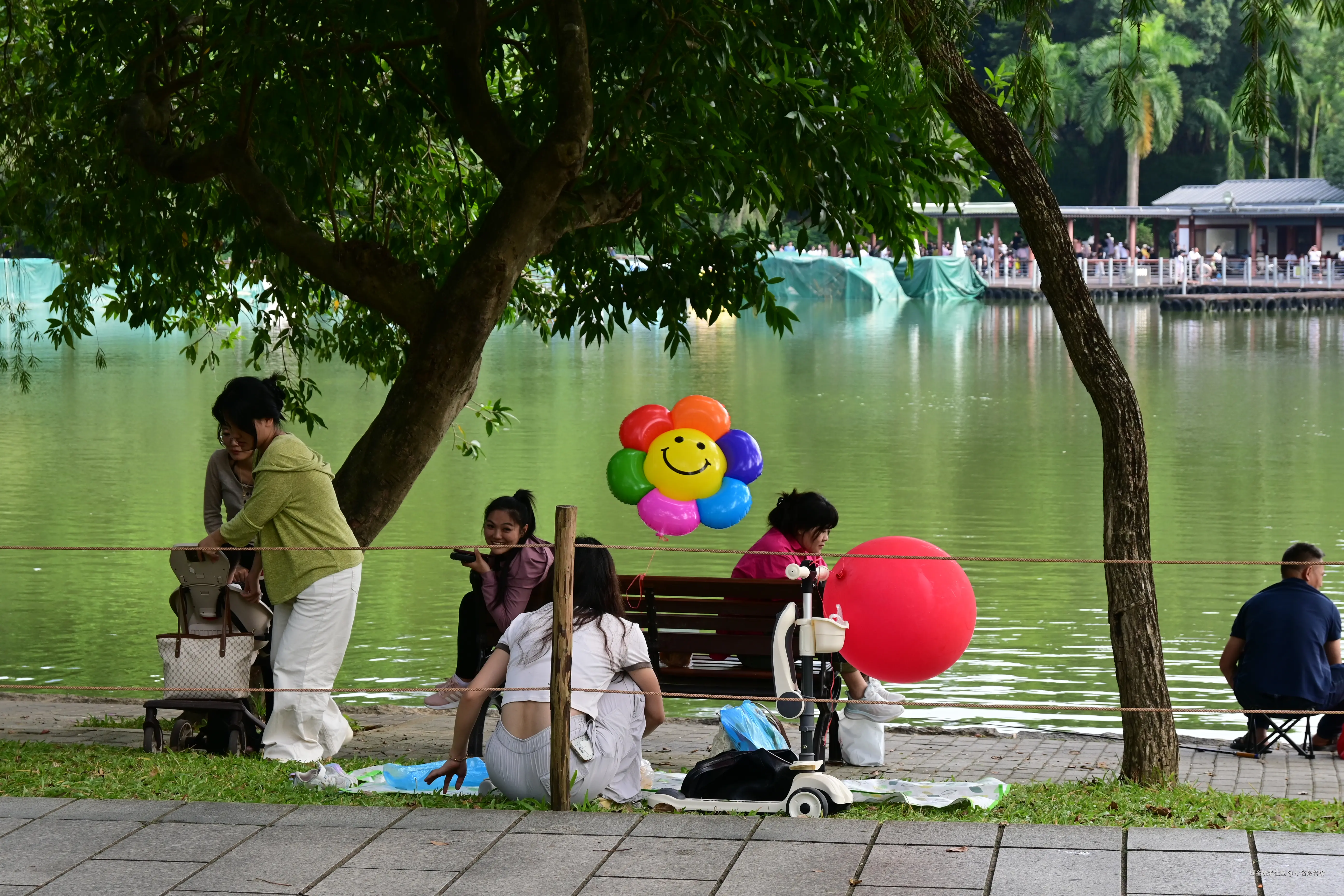 小名饭特稀于2025-10-27 02:00发布的图片