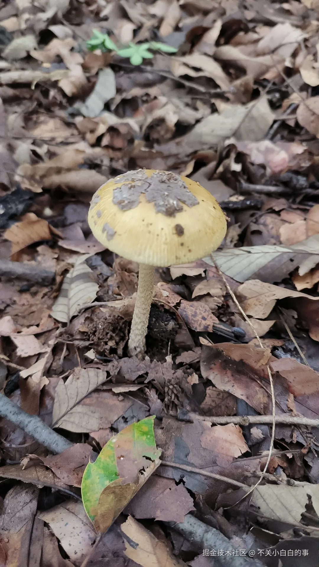 不关小白白的事于2025-10-11 15:29发布的图片