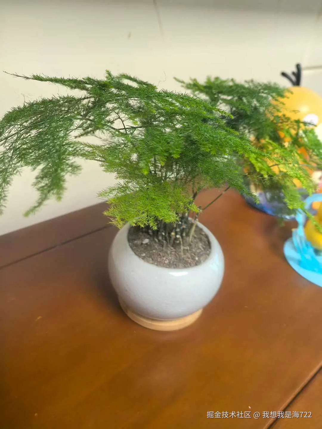 我想我是海722于2026-03-02 09:33发布的图片