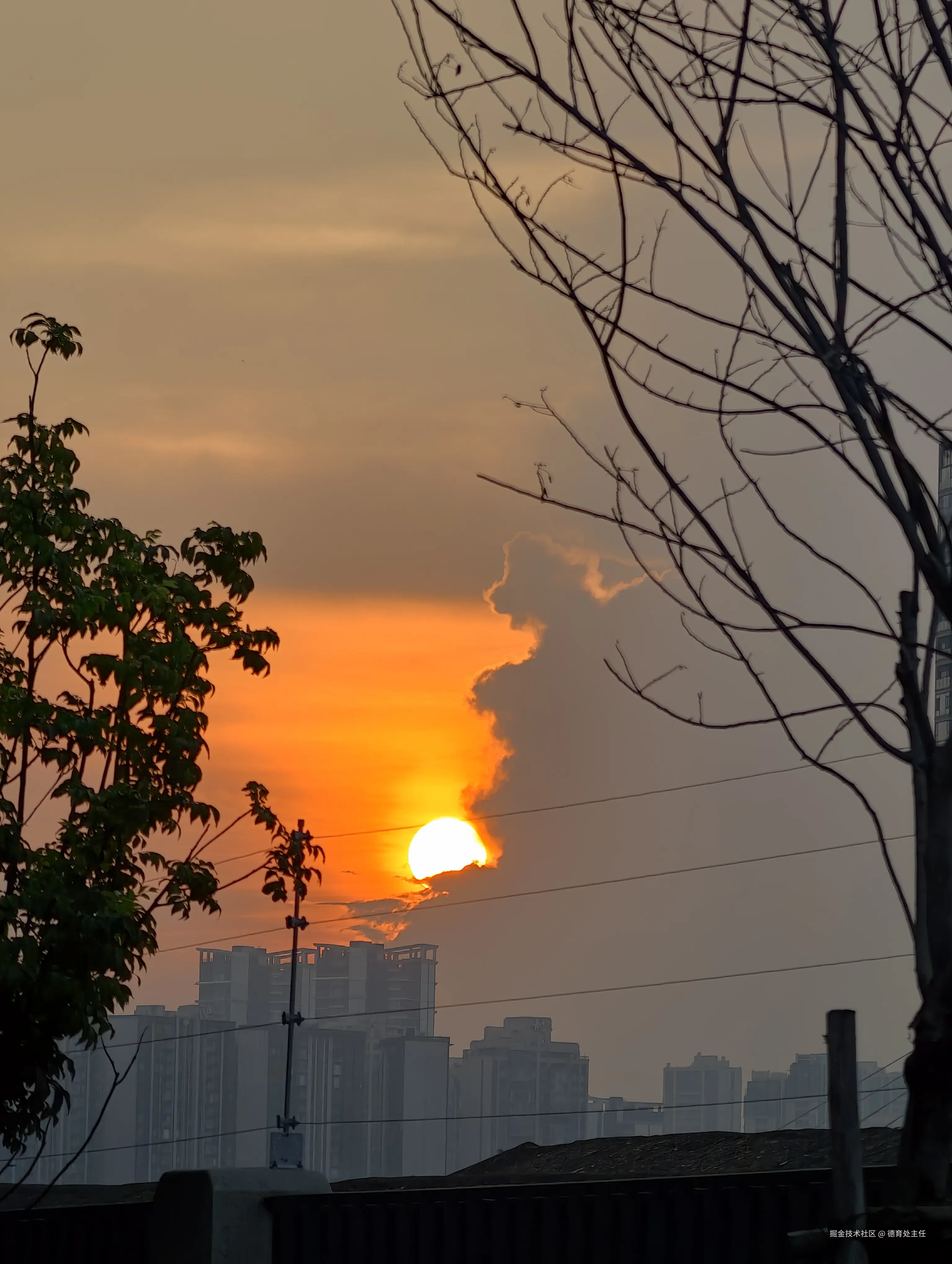 德育处主任于2025-08-01 17:20发布的图片