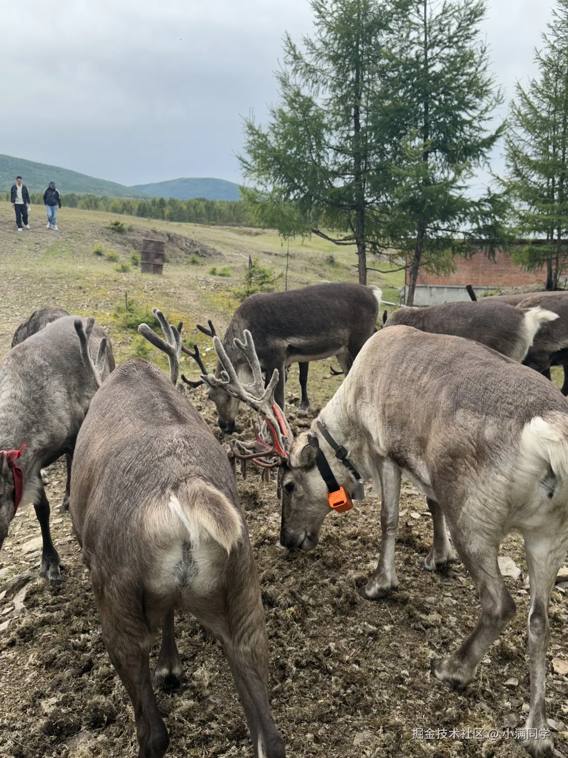 小满同学于2025-11-21 13:06发布的图片