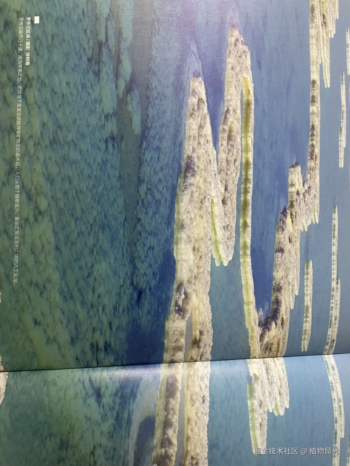 植物昂光于2026-03-23 20:07发布的图片