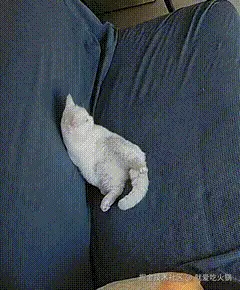 就爱吃火锅于2025-10-27 15:13发布的图片