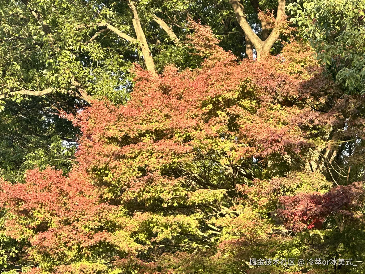 冷萃or冰美式_于2024-12-02 13:09发布的图片