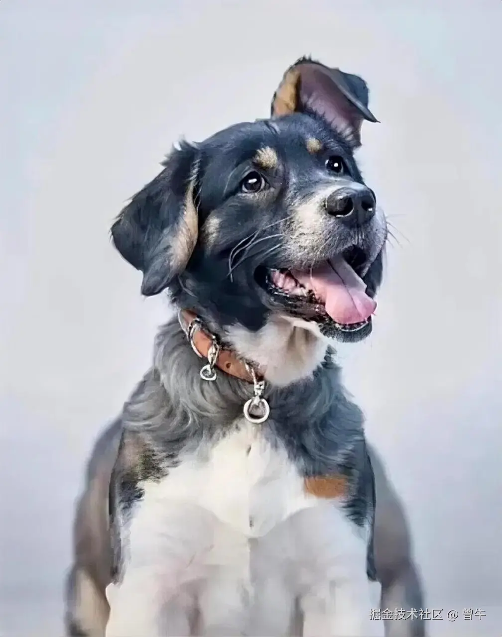 曾牛于2025-03-26 10:15发布的图片