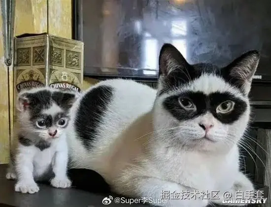 白手套于2025-12-04 10:11发布的图片