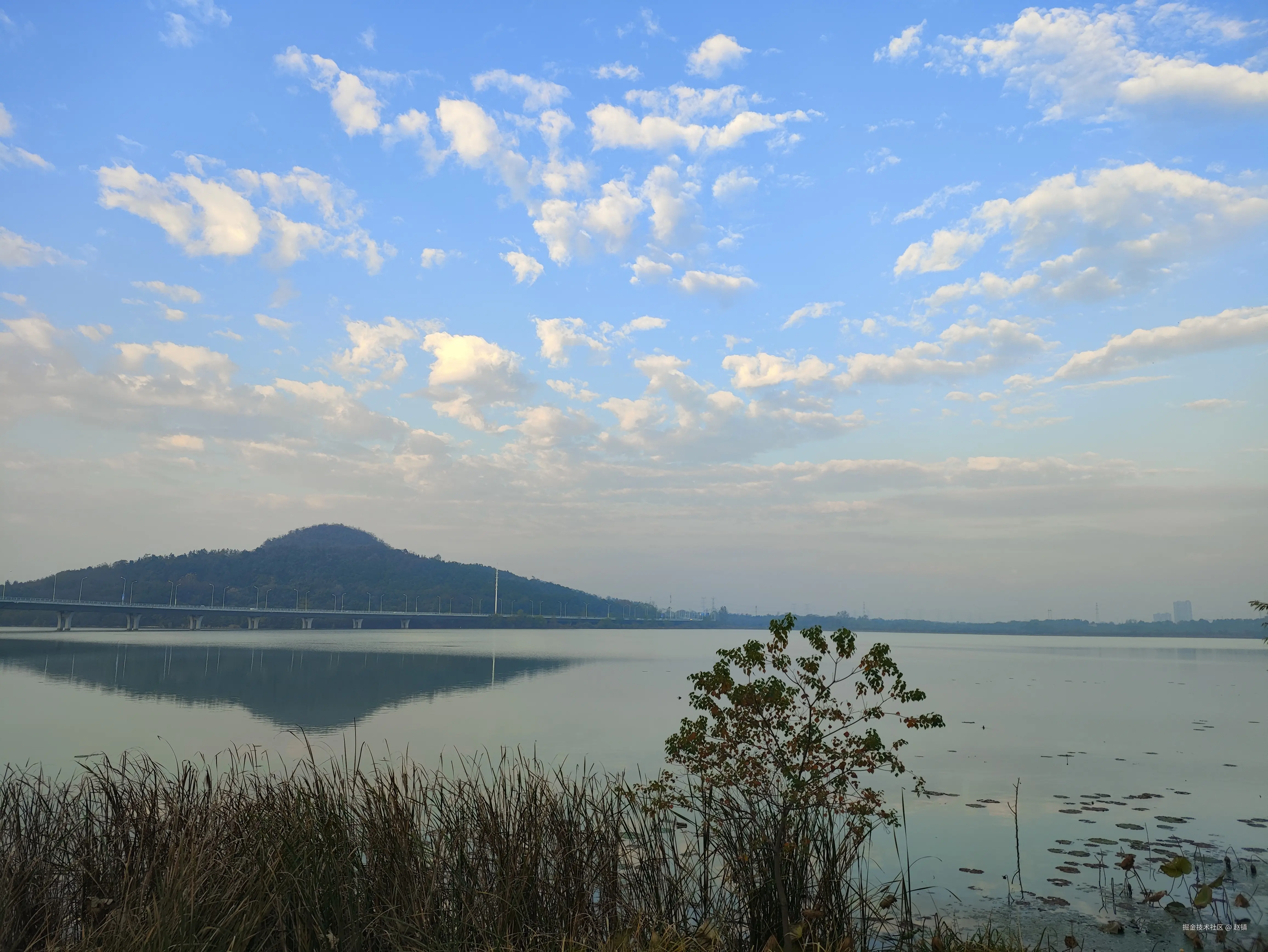 赵镇于2024-11-13 09:01发布的图片