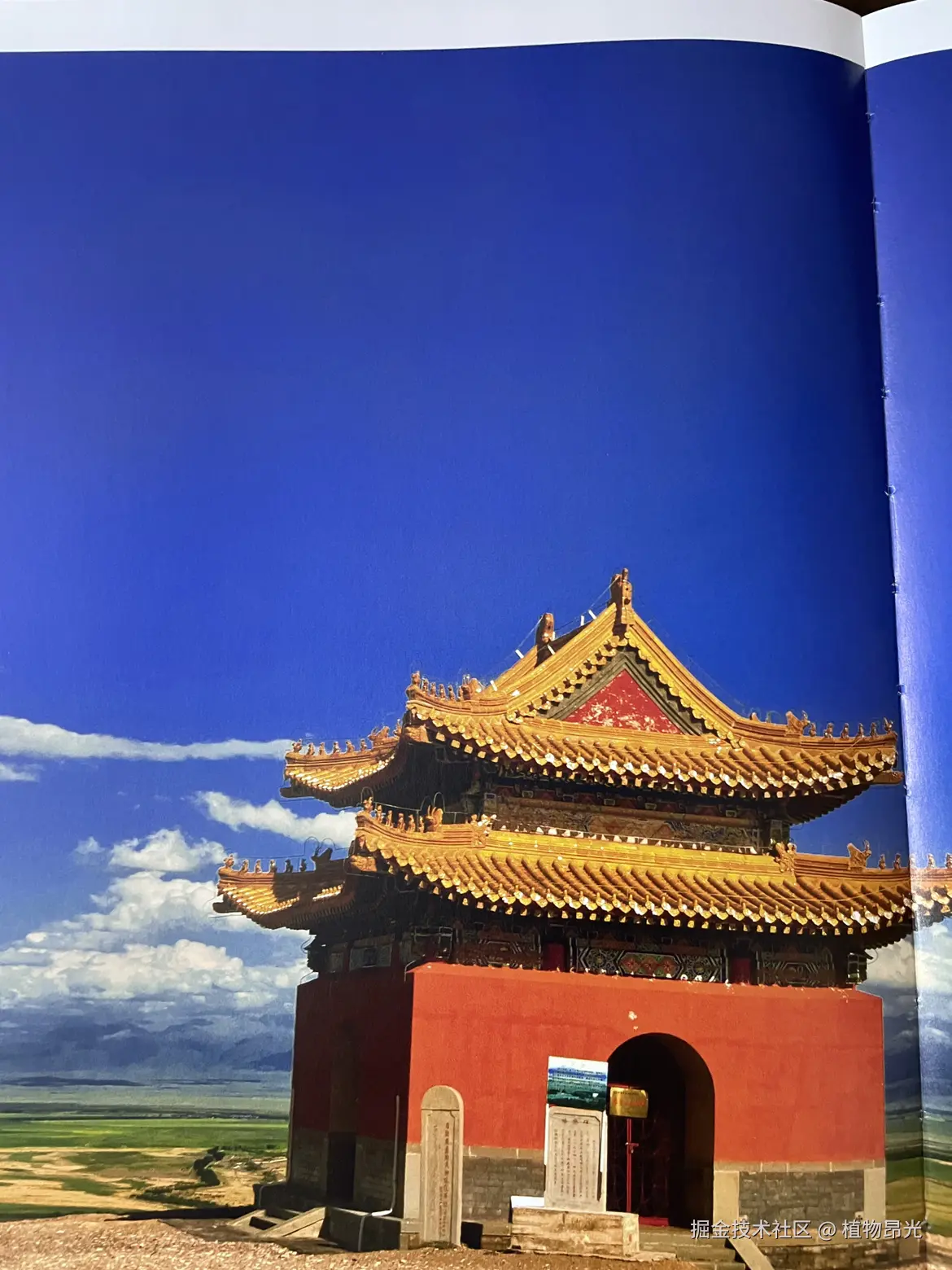 植物昂光于2026-03-17 20:34发布的图片