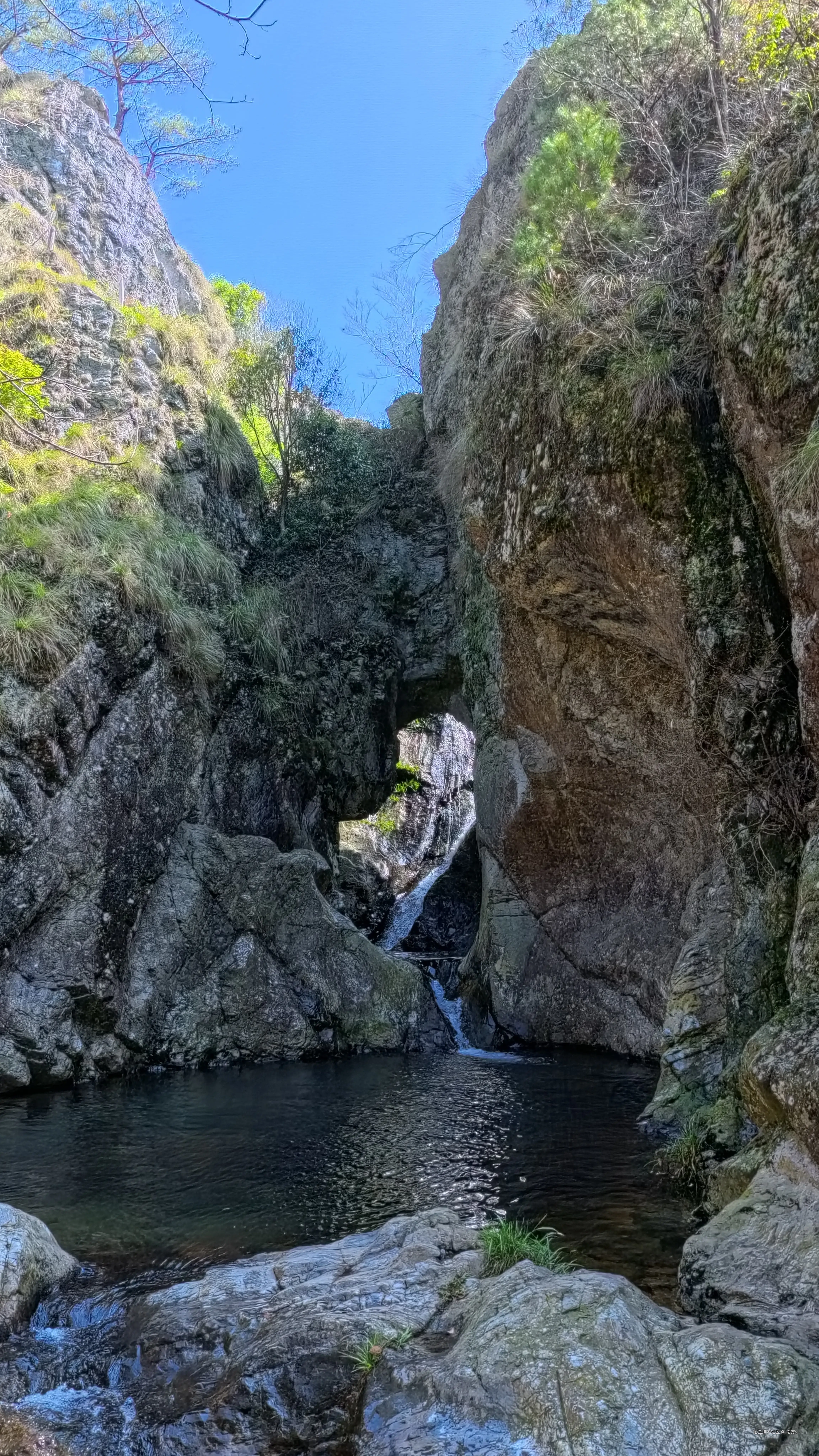 南方s于2026-03-30 10:38发布的图片