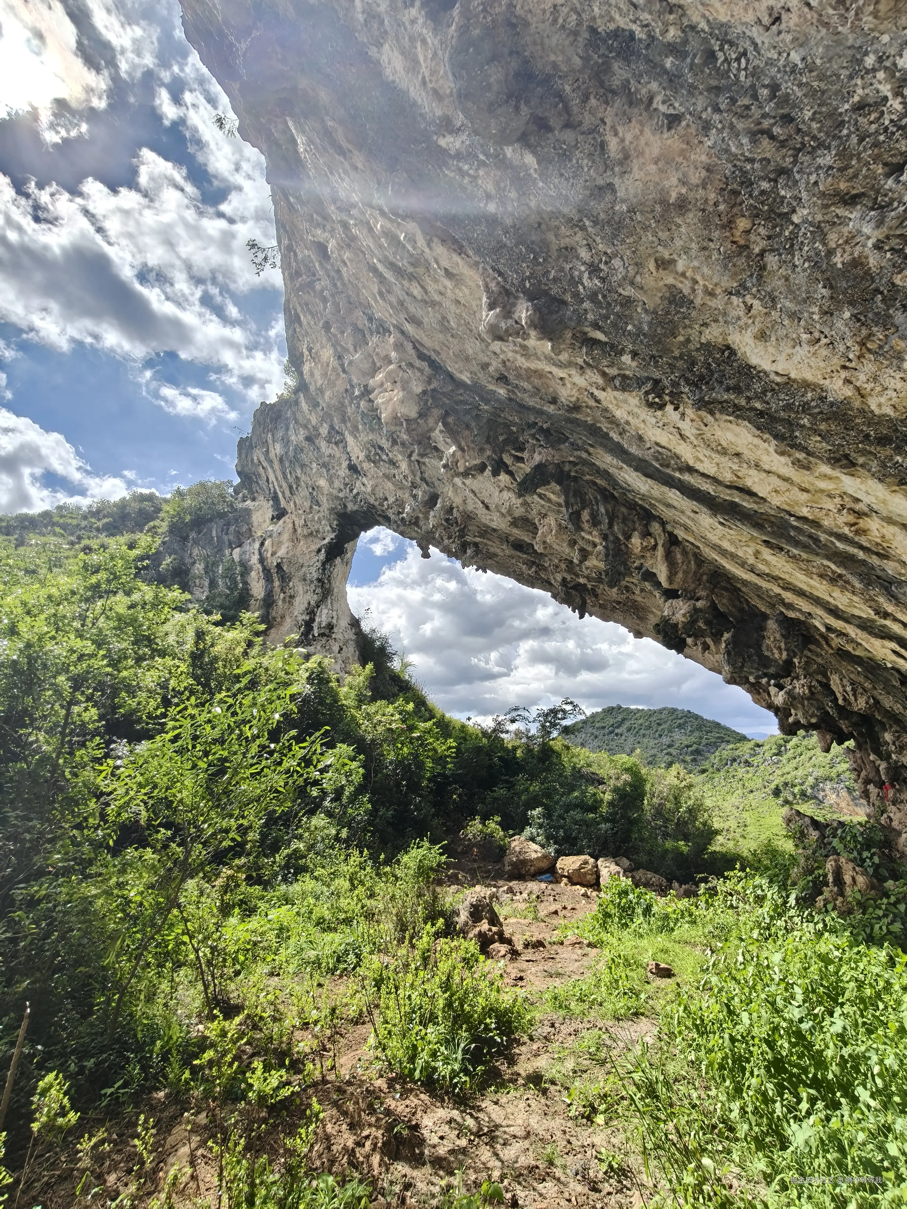 蜗牛等等我于2025-08-25 09:17发布的图片