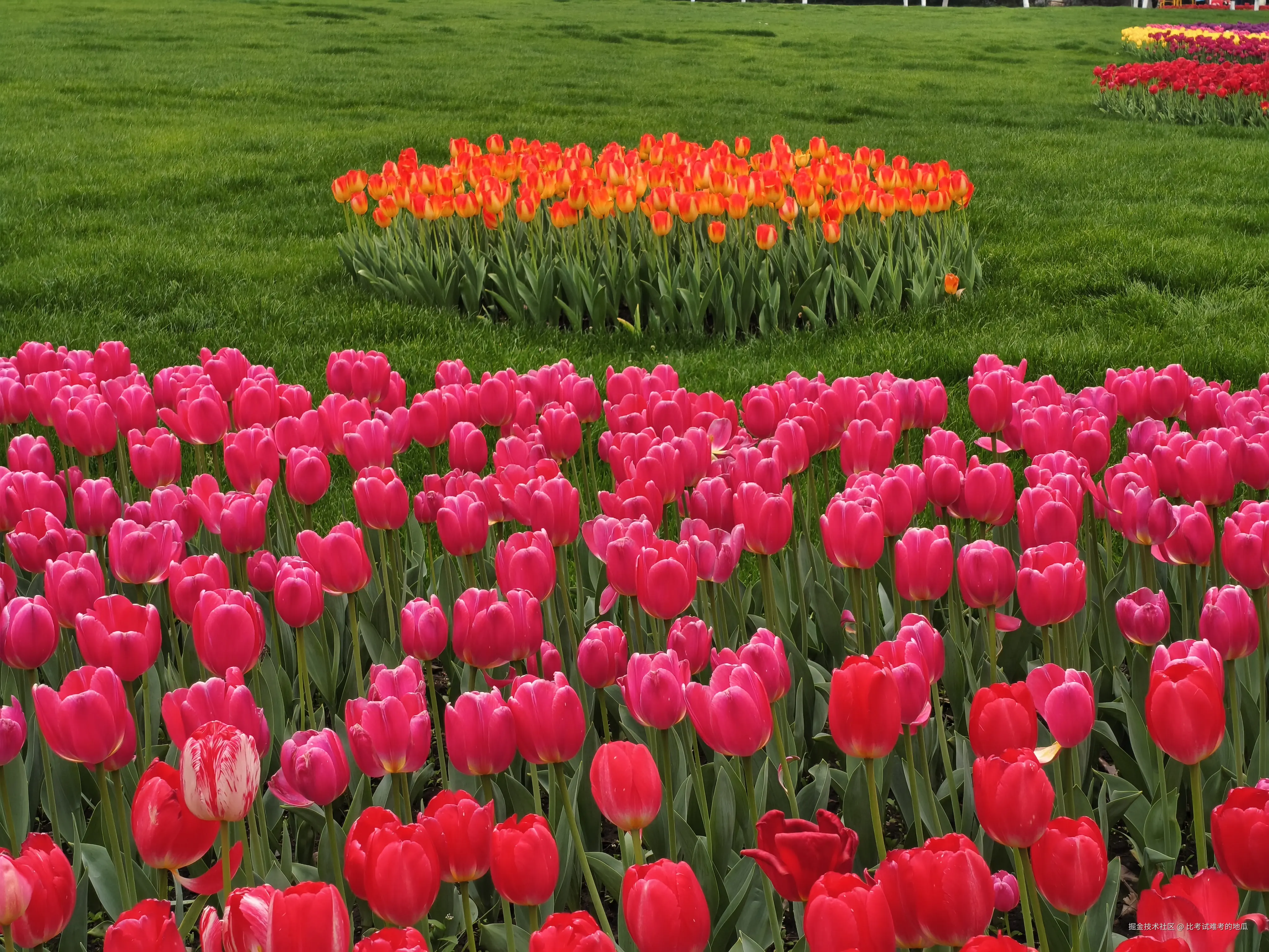 比考试难考的地瓜于2026-03-23 12:05发布的图片