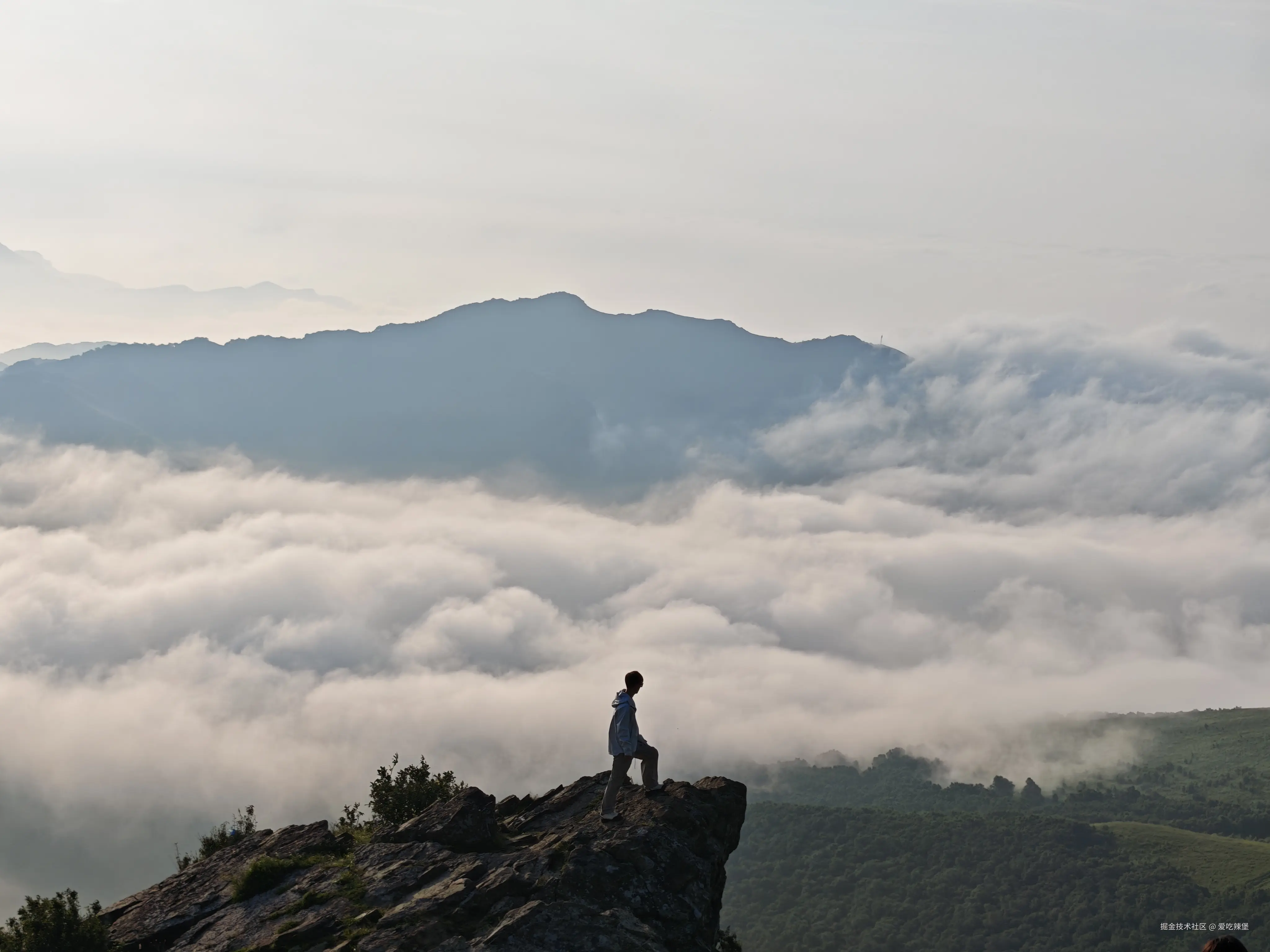 爱吃辣堡于2025-08-07 16:42发布的图片