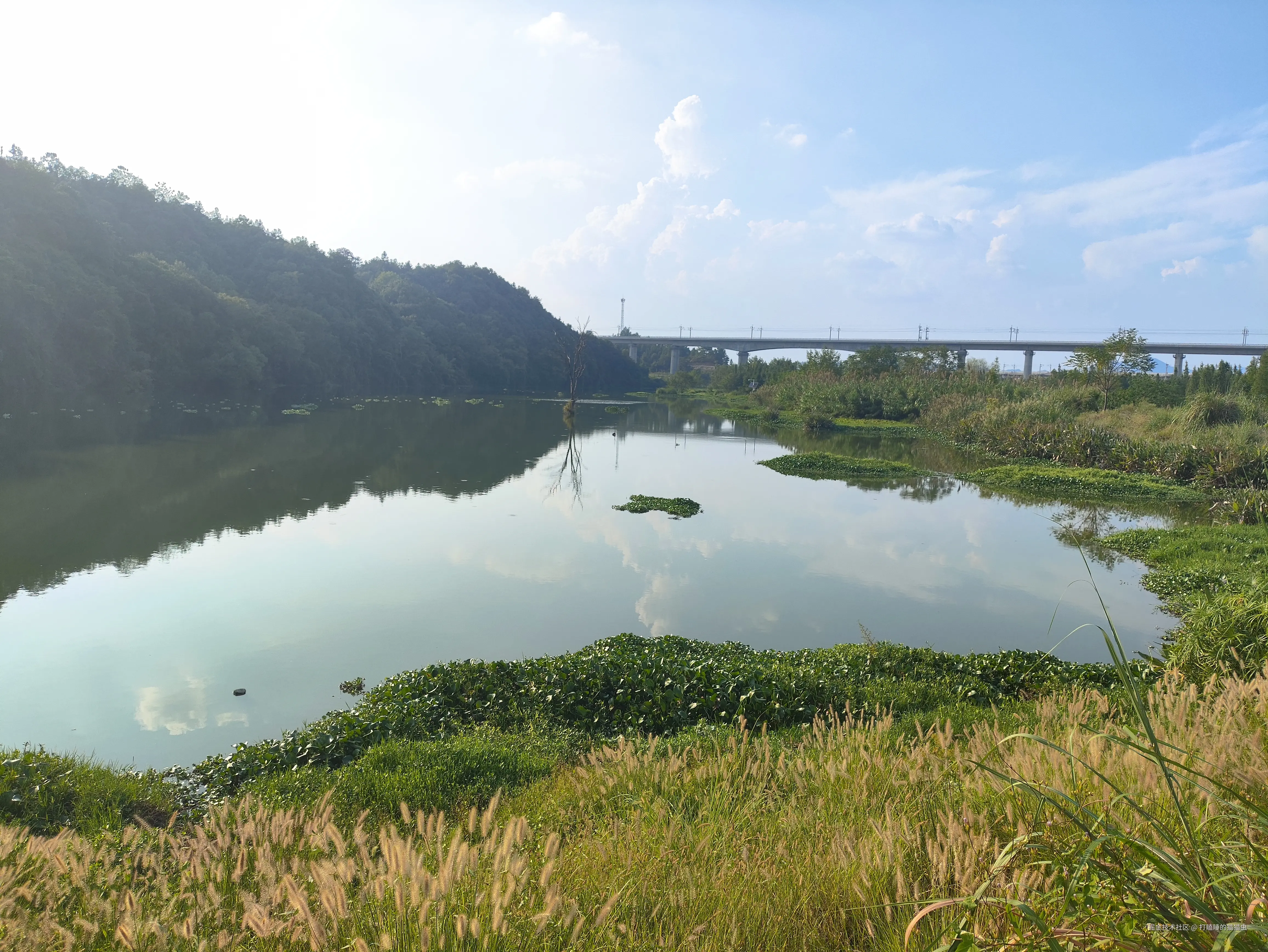 打瞌睡的猫猫虫于2025-10-09 13:56发布的图片
