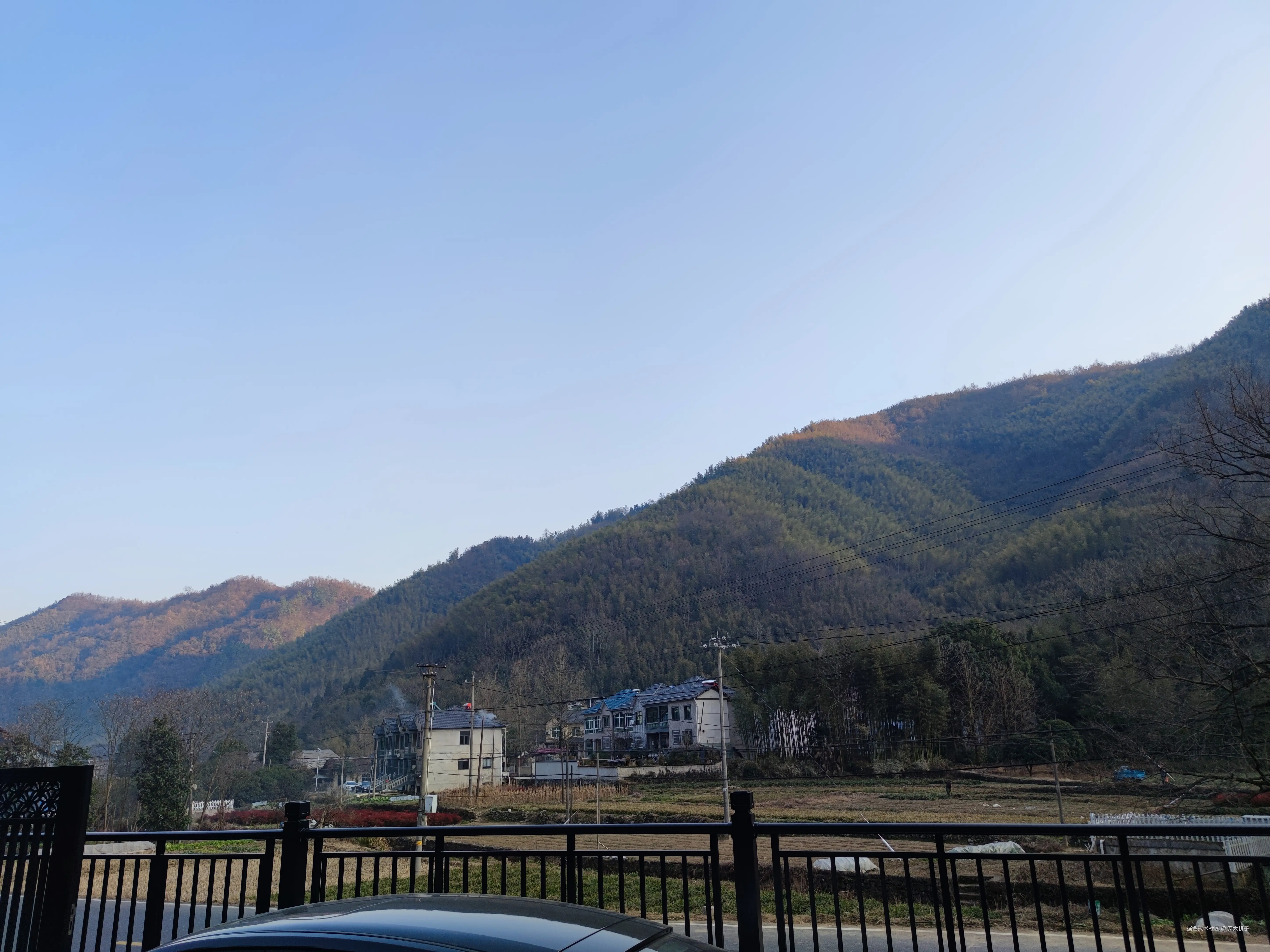 安大桃子于2025-01-01 16:01发布的图片