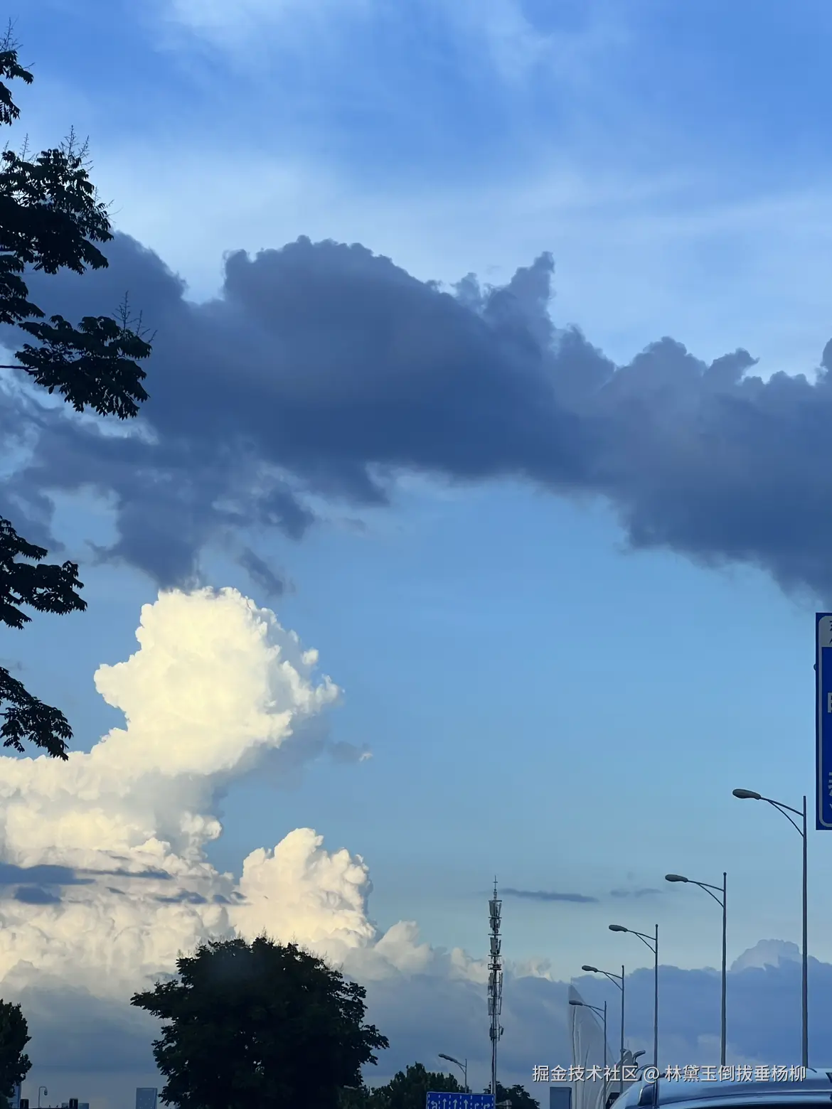 林黛玉倒拔垂杨柳于2025-07-01 03:13发布的图片