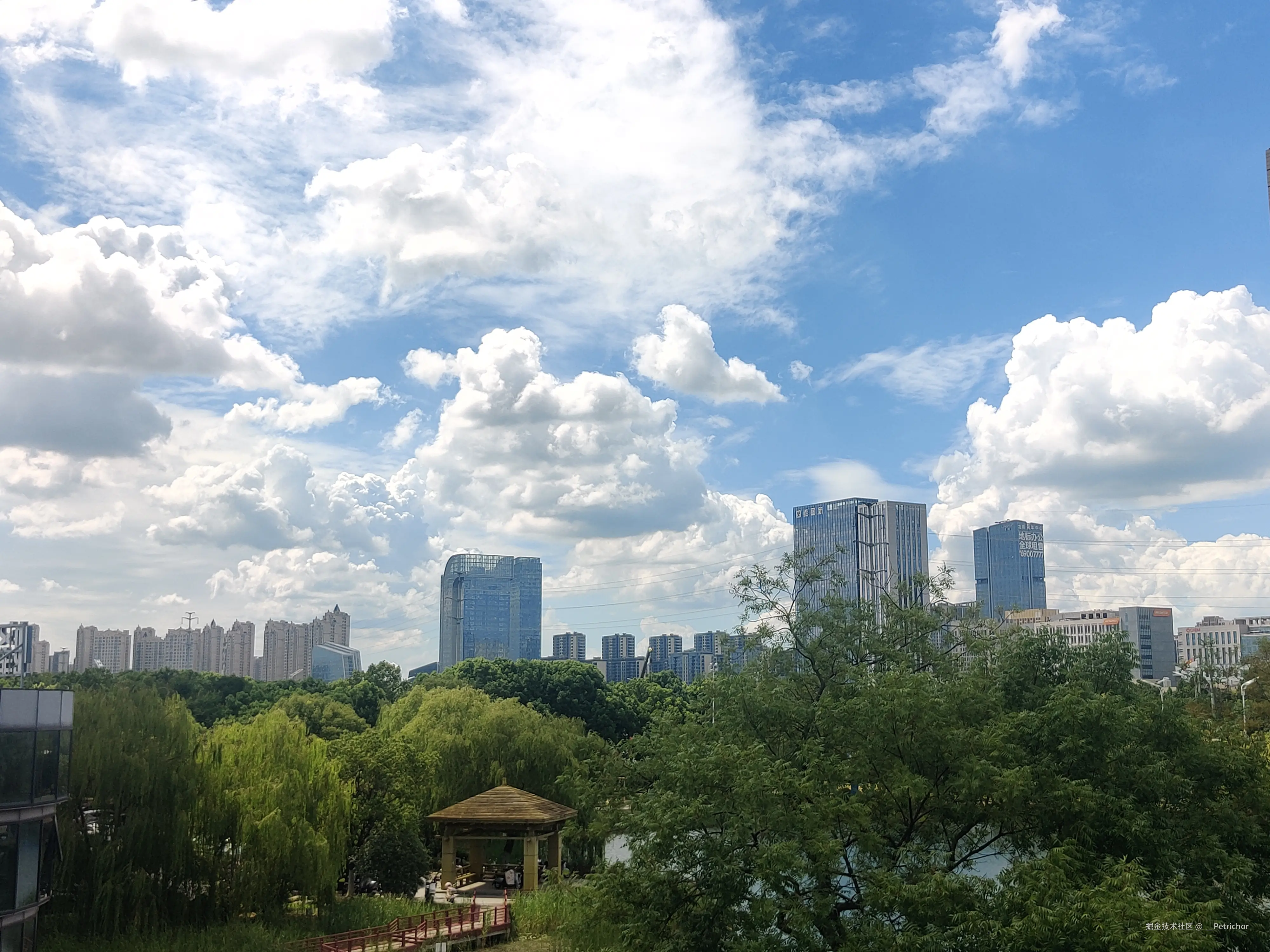 __Petrichor于2025-07-22 14:36发布的图片