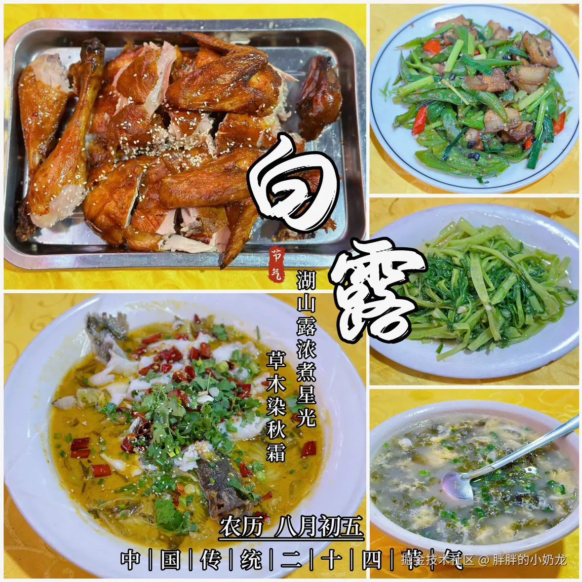 胖胖的小奶龙于2024-09-07 15:38发布的图片