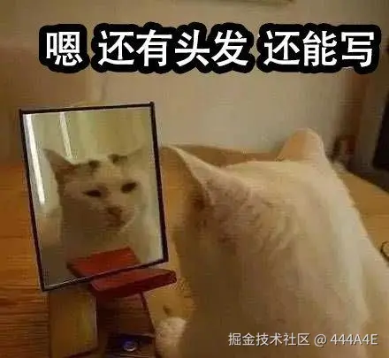 项目