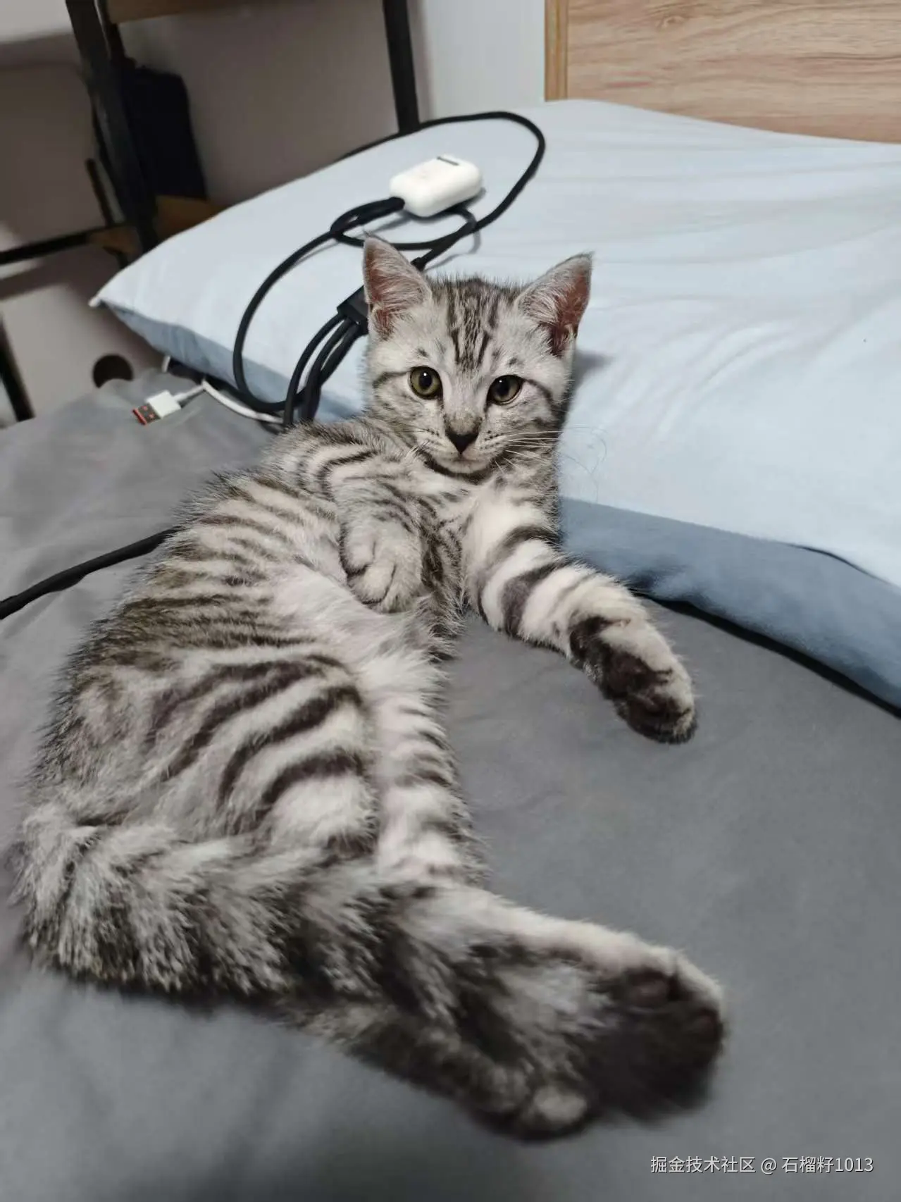 石榴籽1013于2025-09-30 16:05发布的图片