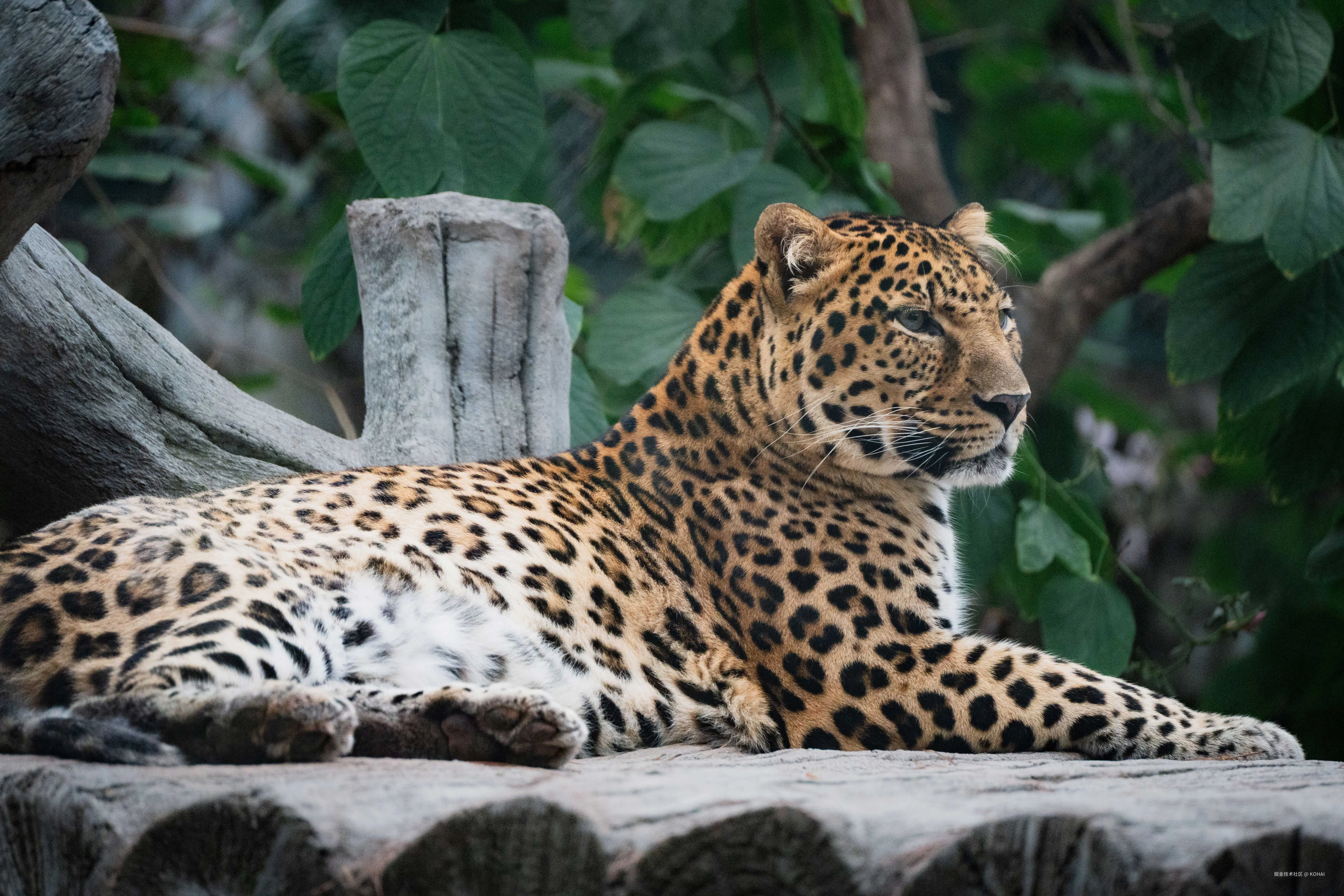 KOHAI于2024-11-04 23:36发布的图片