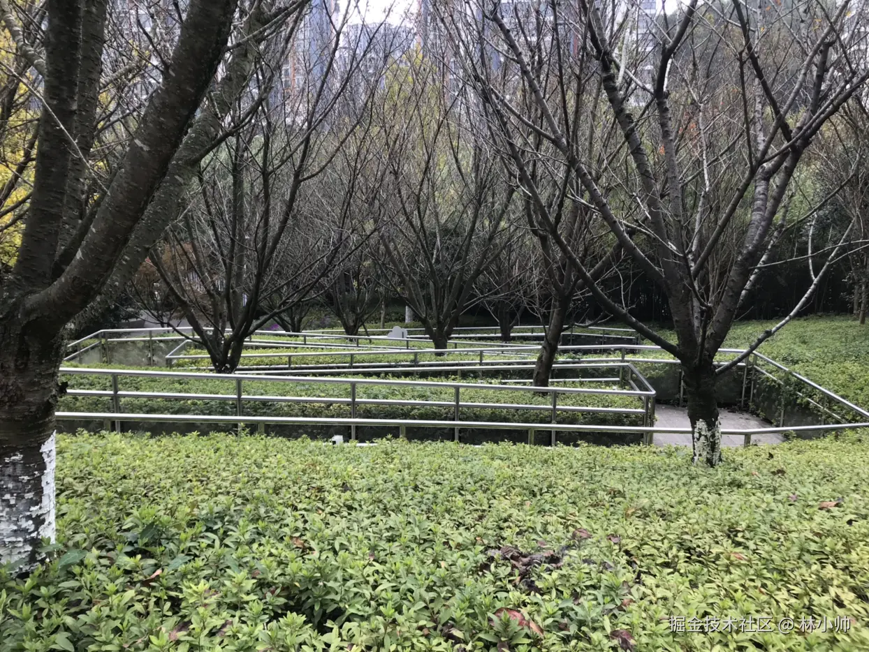 林小帅于2024-10-28 15:38发布的图片