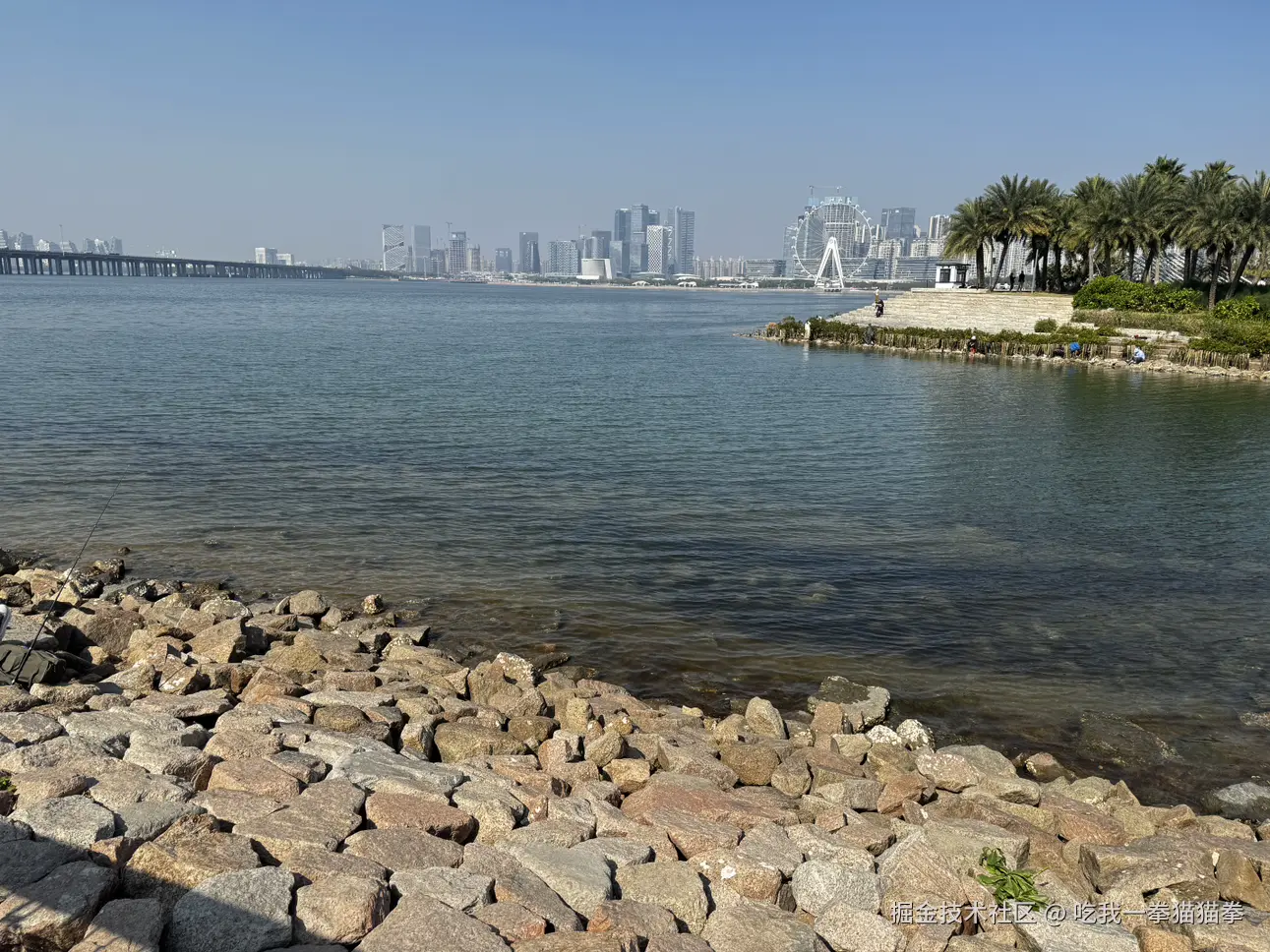 吃我一拳猫猫拳于2024-12-30 12:51发布的图片