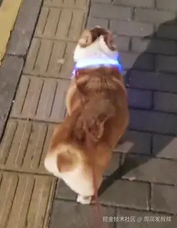 周润发叔叔于2025-09-12 09:57发布的图片