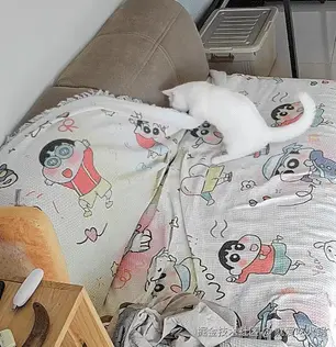 就爱吃火锅于2025-09-28 12:49发布的图片