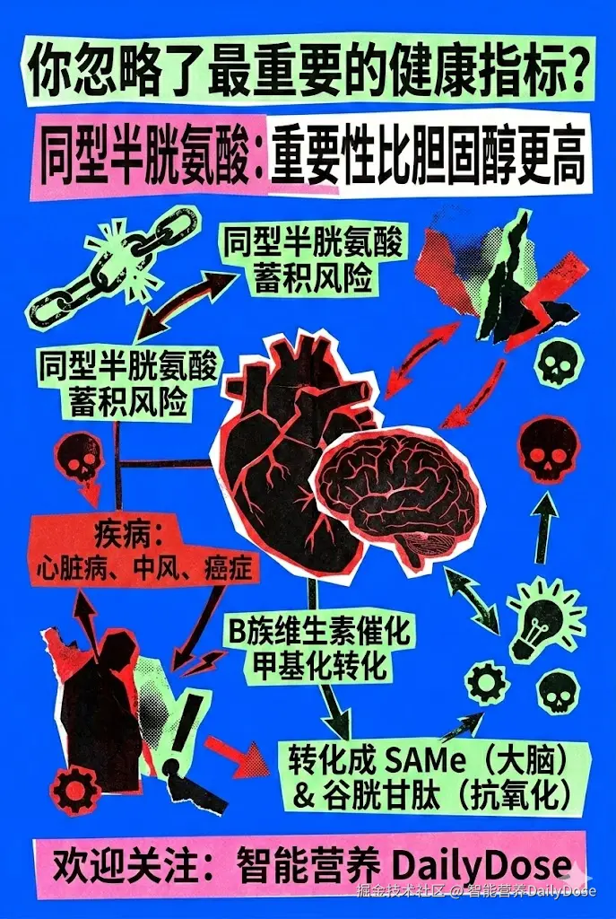 智能营养DailyDose于2026-03-06 13:29发布的图片