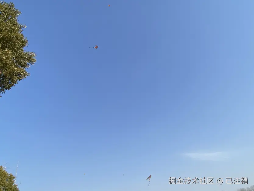 已注销于2025-02-09 15:18发布的图片