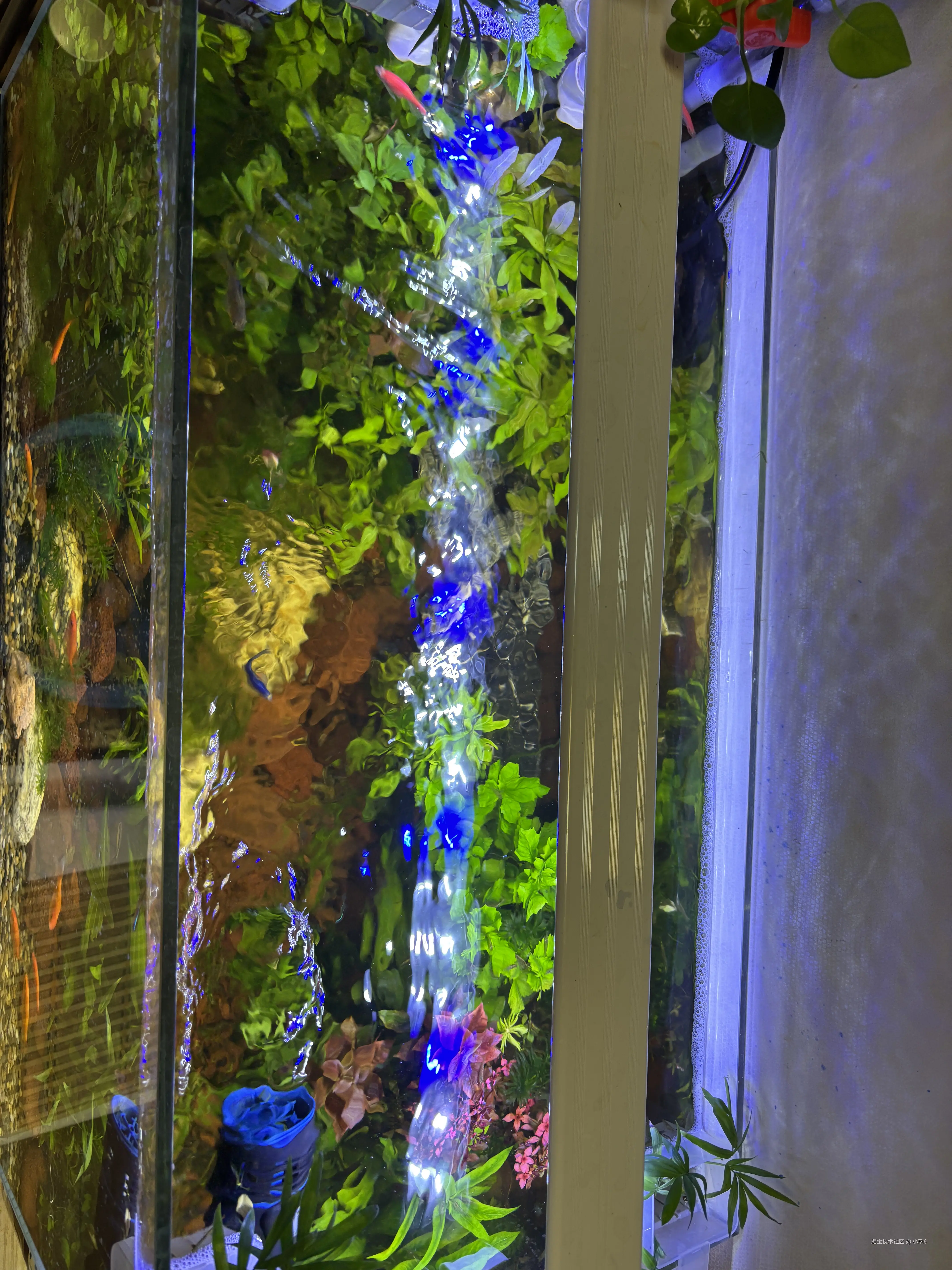 小瑞6于2025-07-15 13:43发布的图片