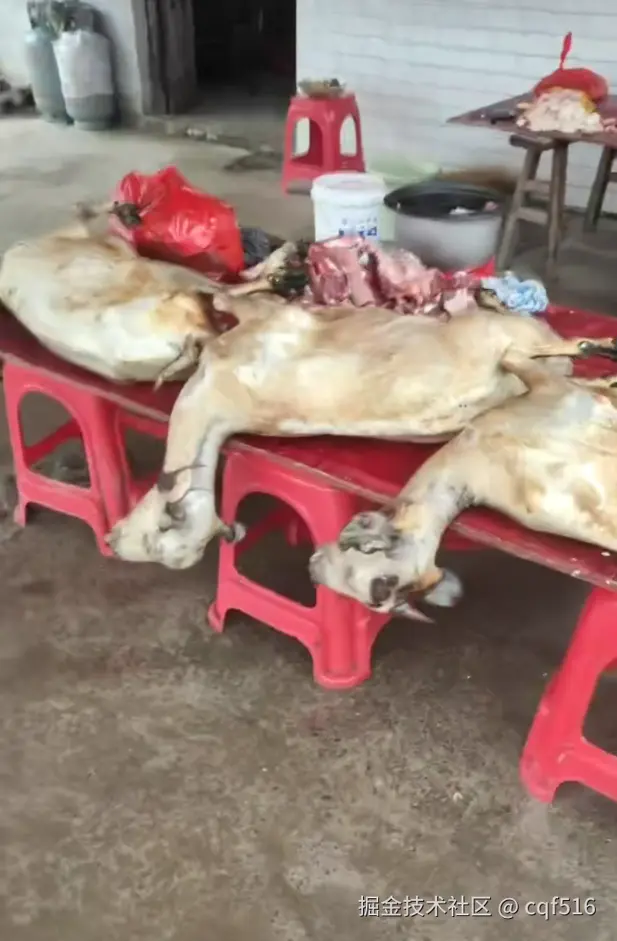 cqf516于2026-02-13 11:48发布的图片