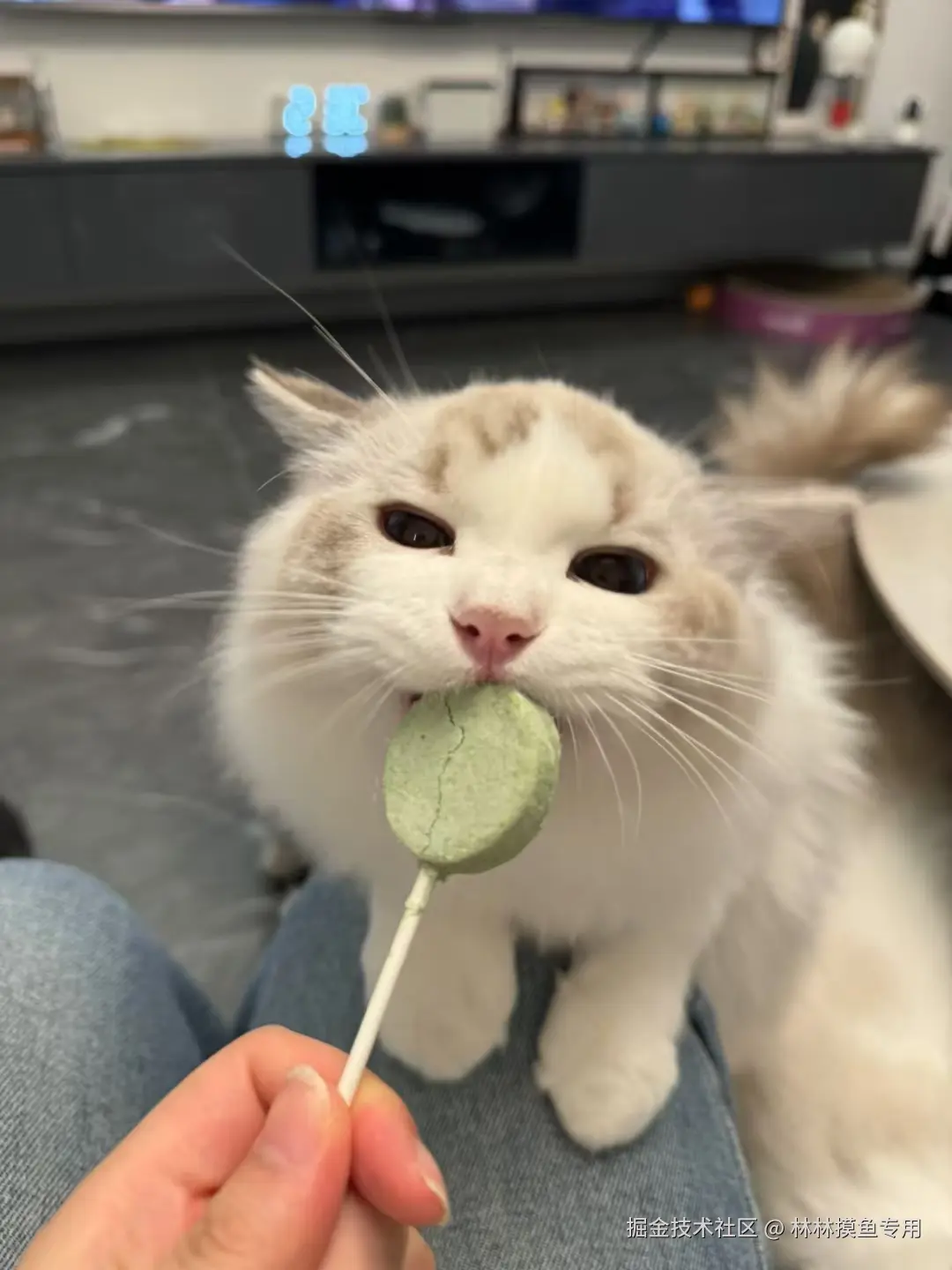 林林摸鱼专用于2024-10-29 11:33发布的图片