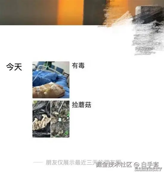 白手套于2026-04-04 17:38发布的图片