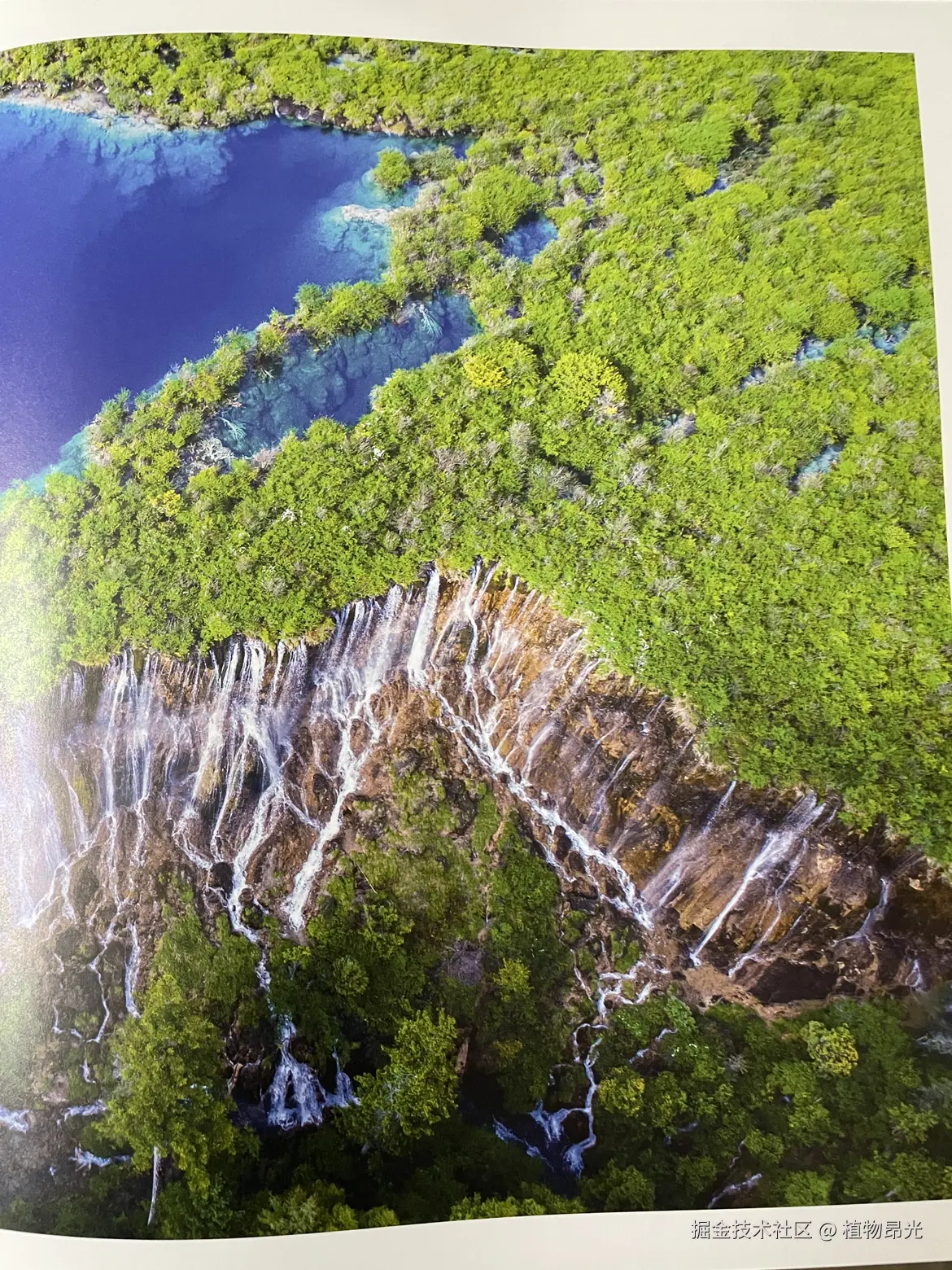 植物昂光于2026-03-10 21:49发布的图片