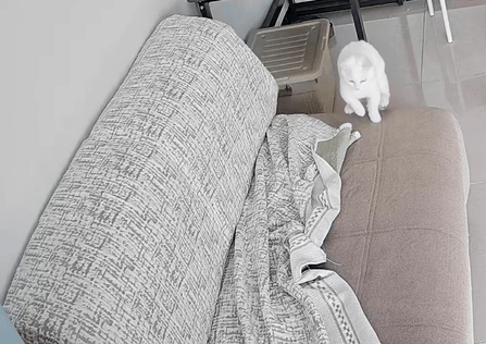 就爱吃火锅于2025-09-29 12:18发布的图片