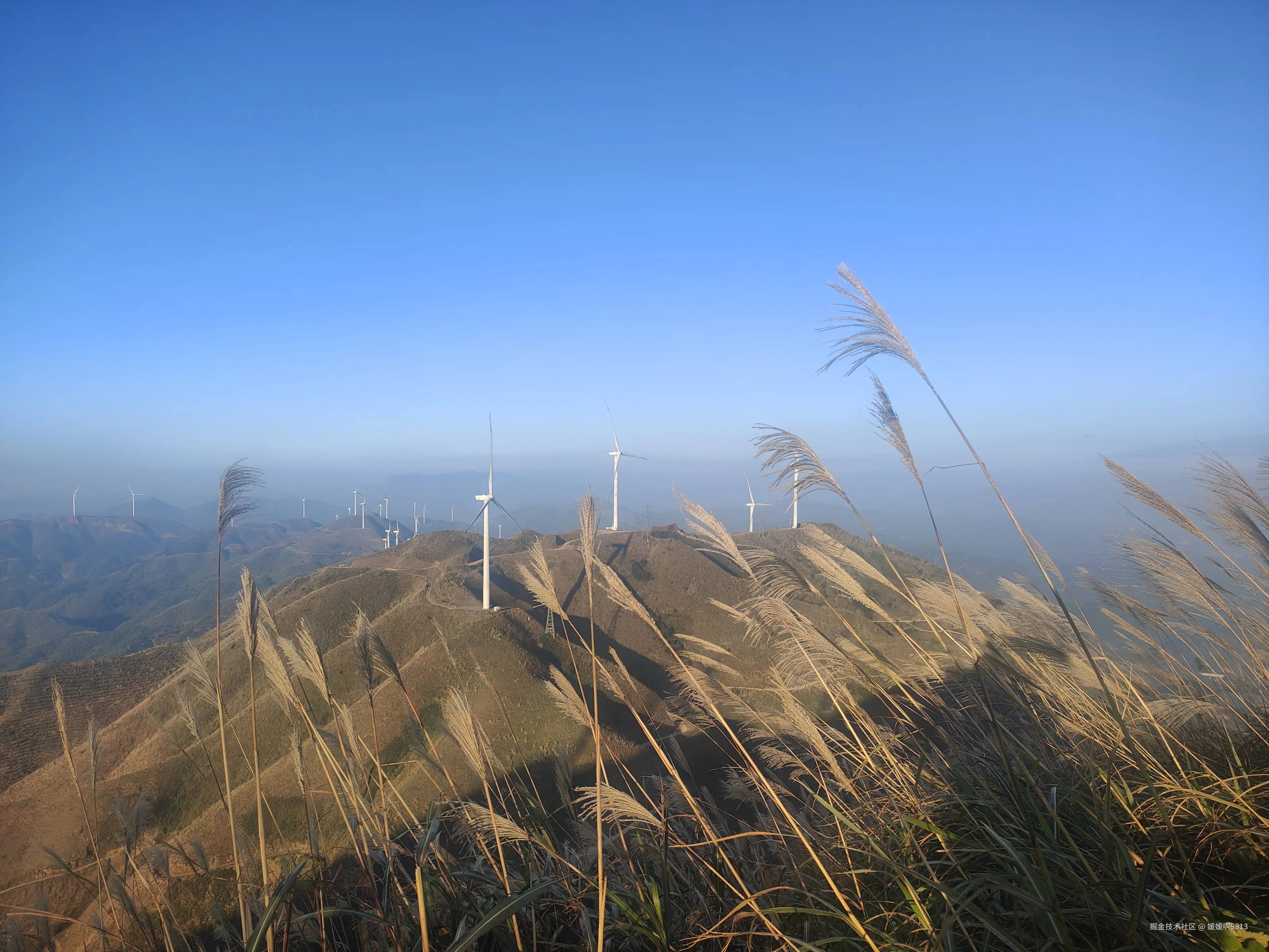 媛媛啊9813于2025-11-22 06:48发布的图片